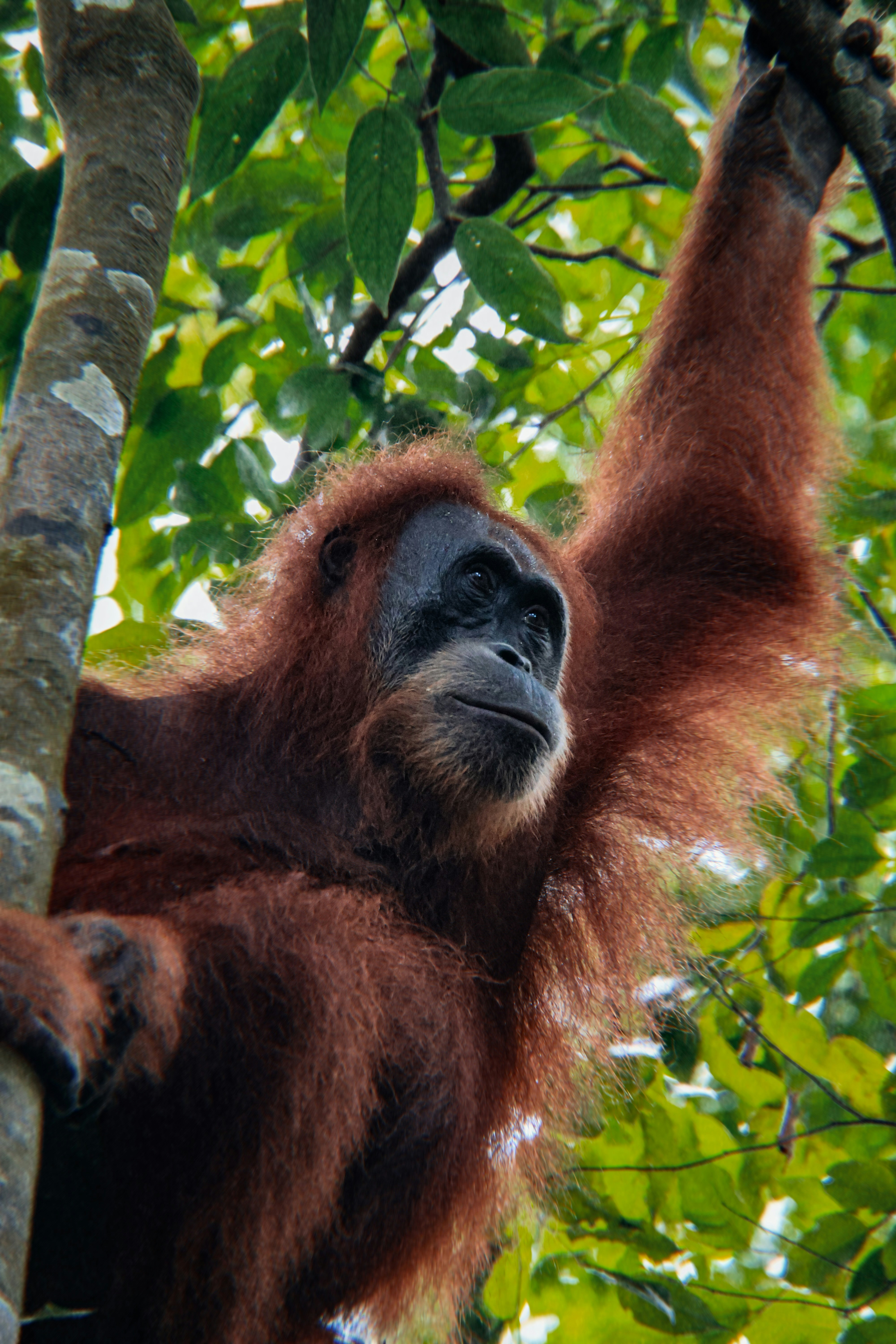 Photo by danielpelaezduque