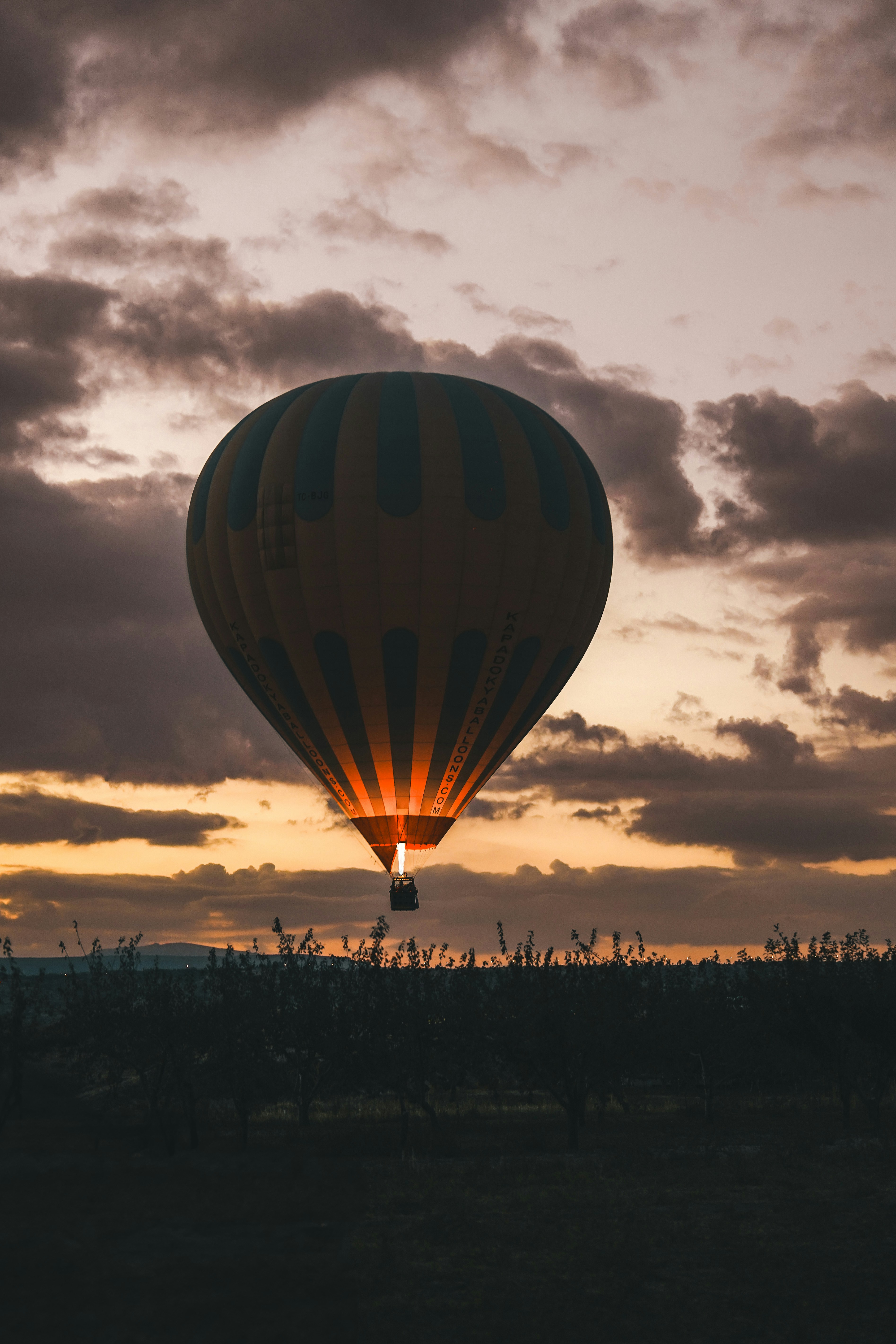 Photo by kevin_charit