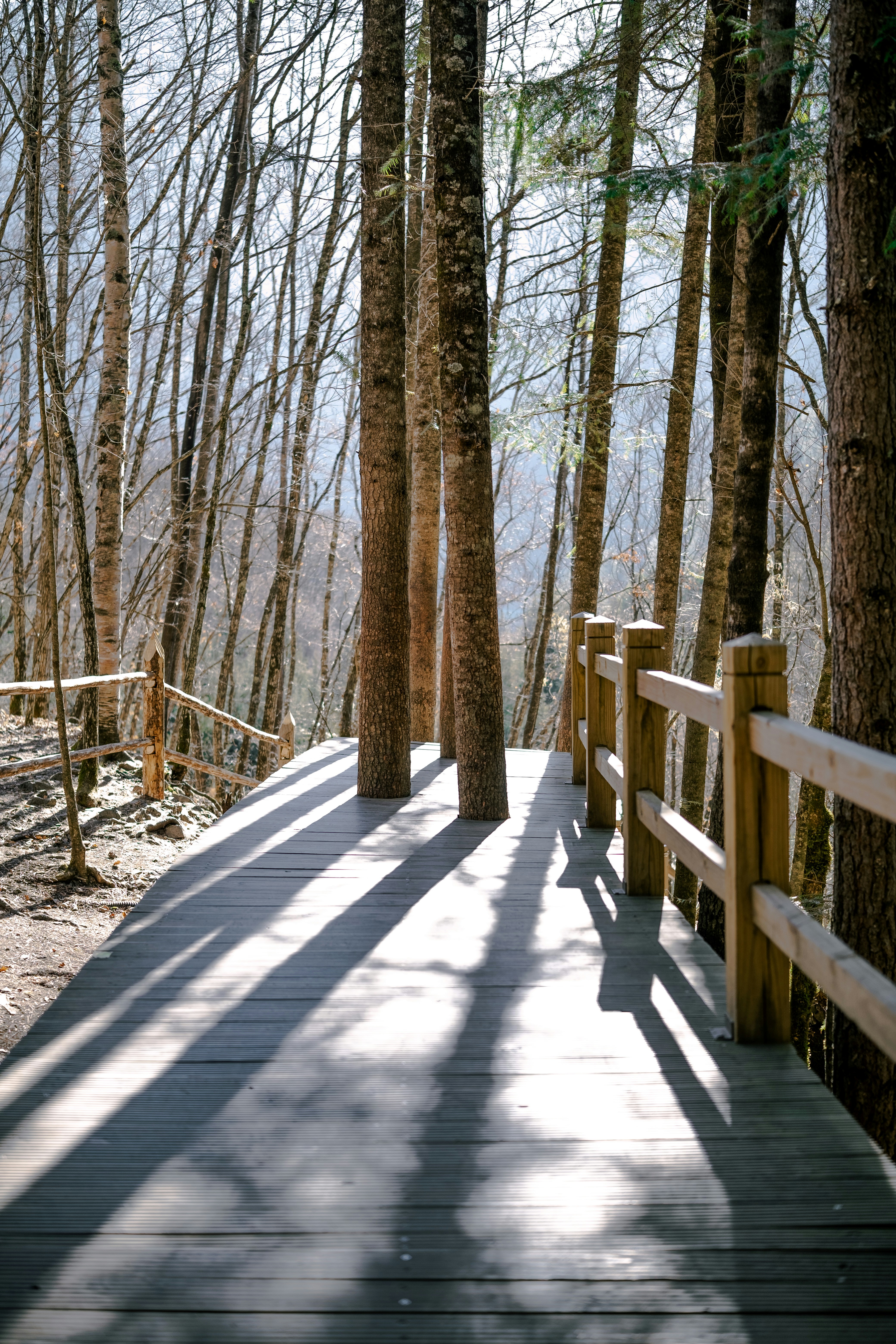 Photo by wenhao_ruan