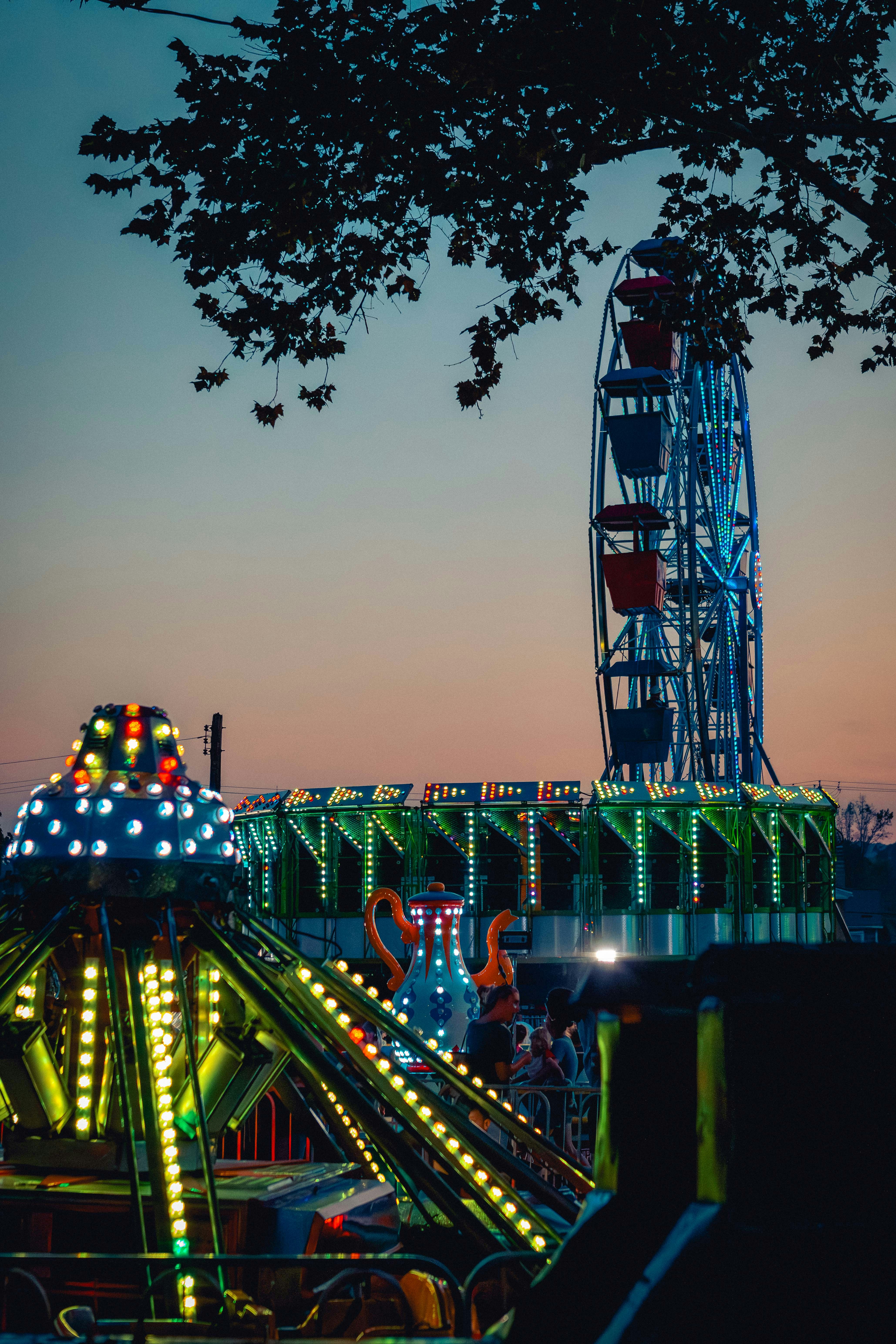 A ferris wheel in a carnival park at night
