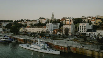 A harbor with boats and a city in the background