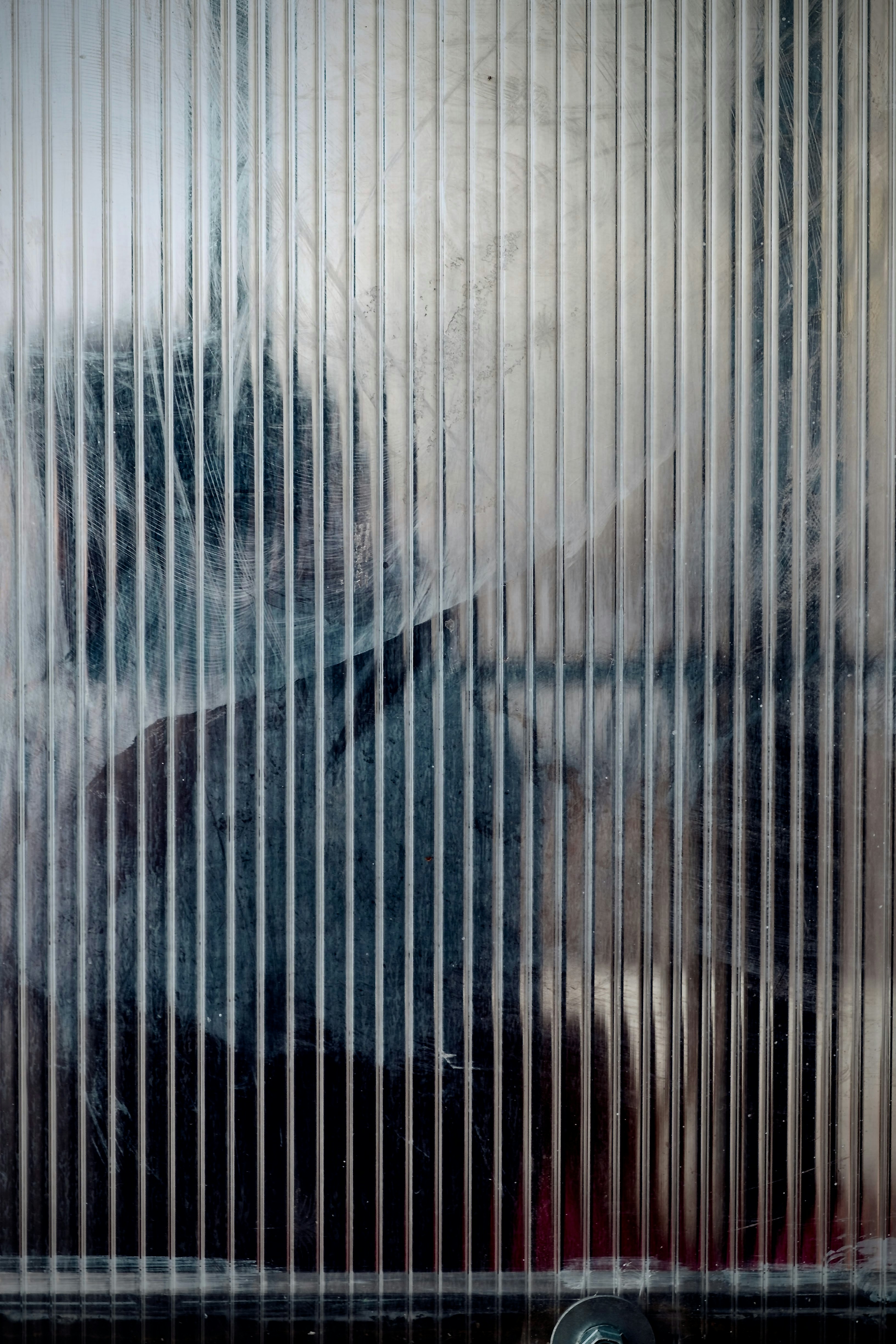 Eine Katze, die auf einem Bett neben einem Fenster liegt