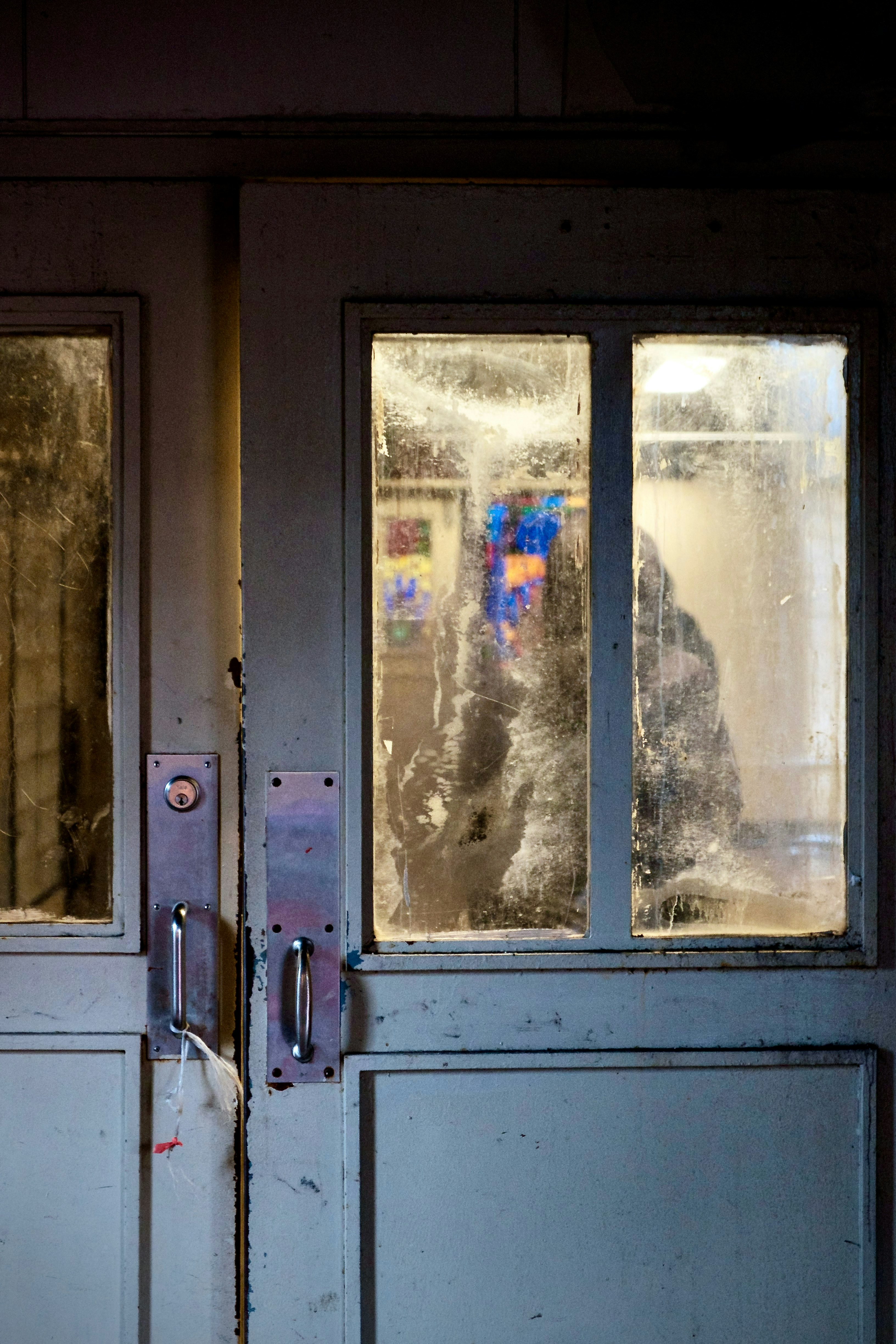 Ein Hund sitzt im Fenster einer Tür