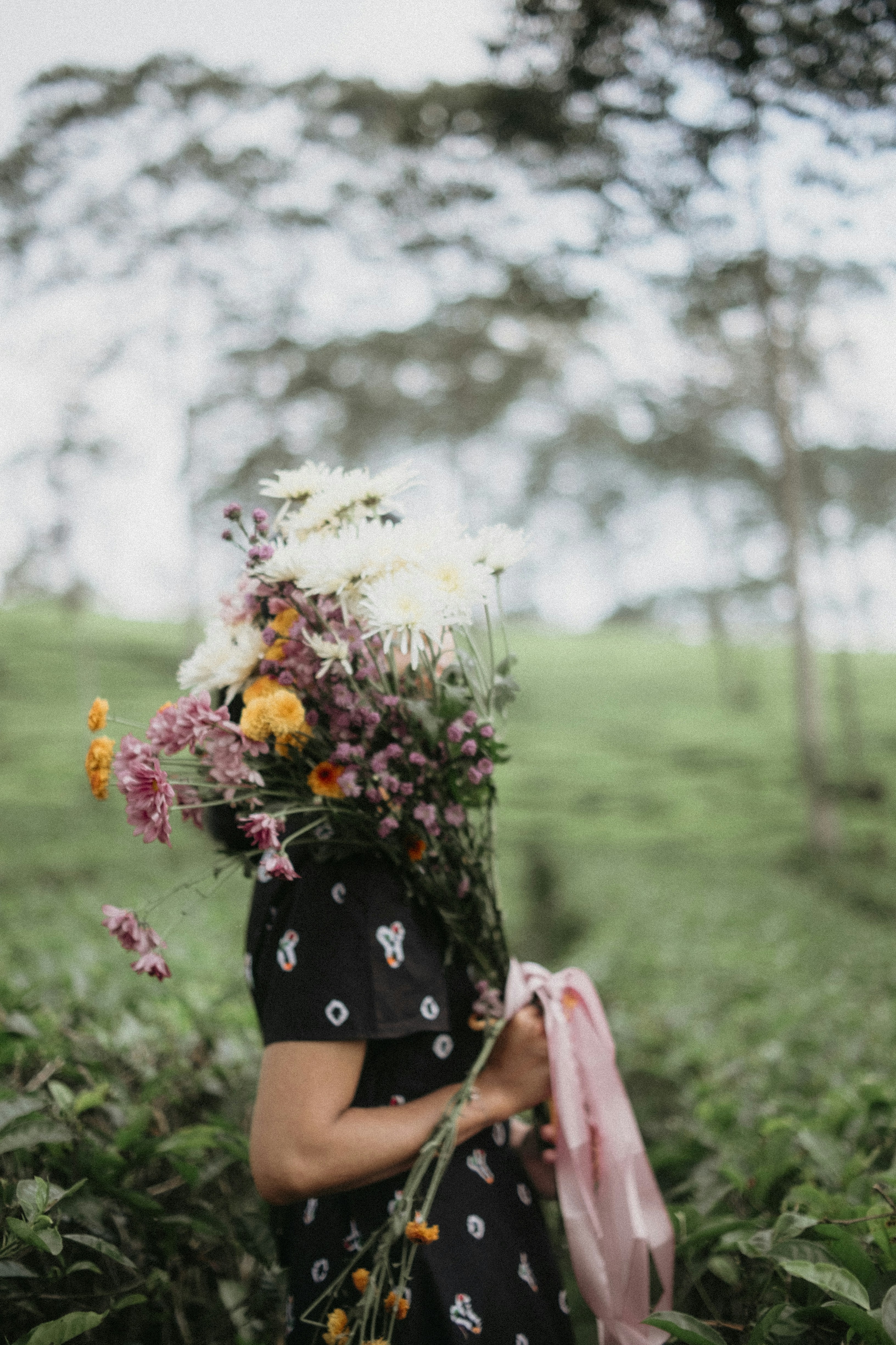 Photo by bagasvg