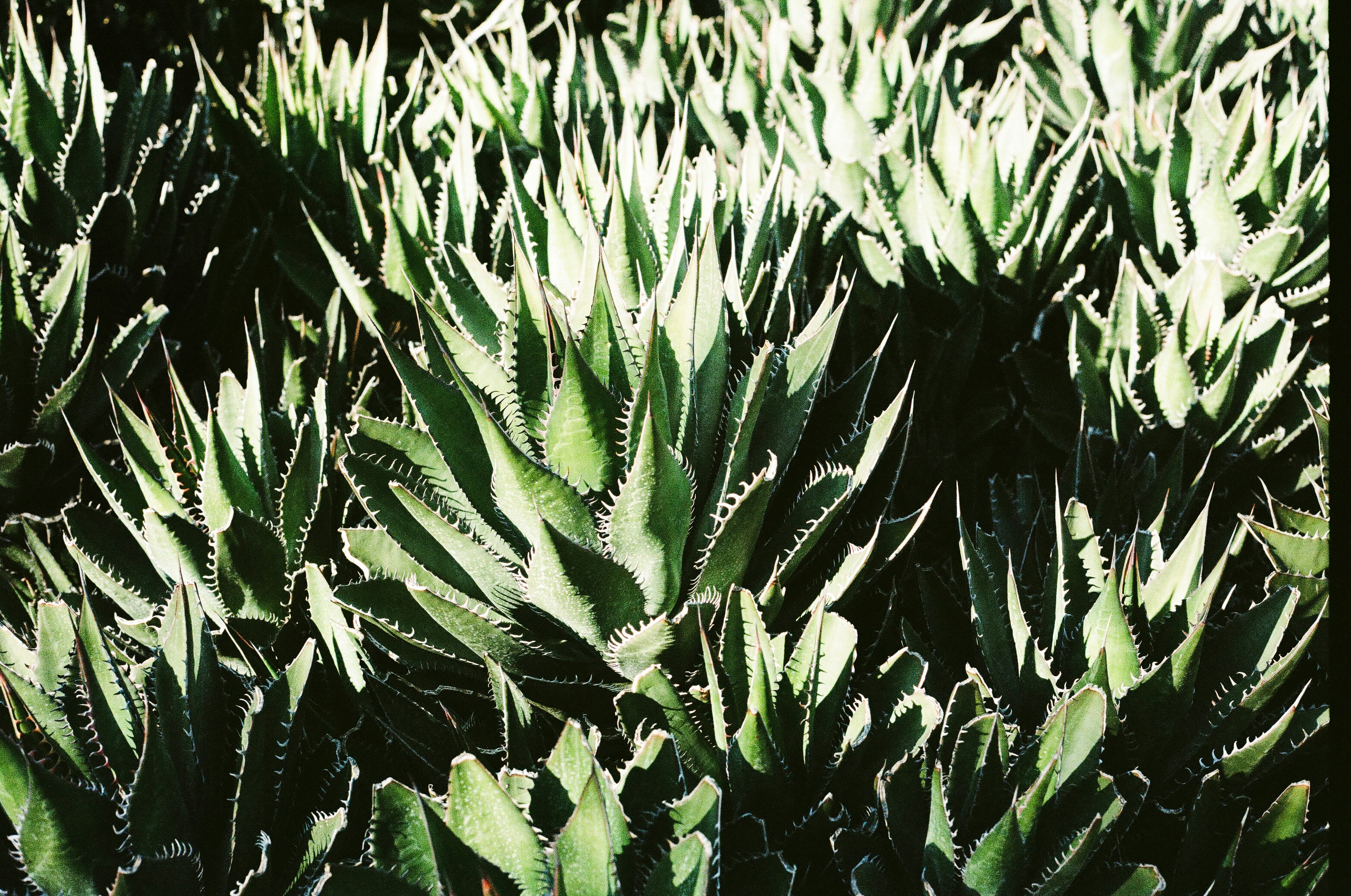 Plantschbecken