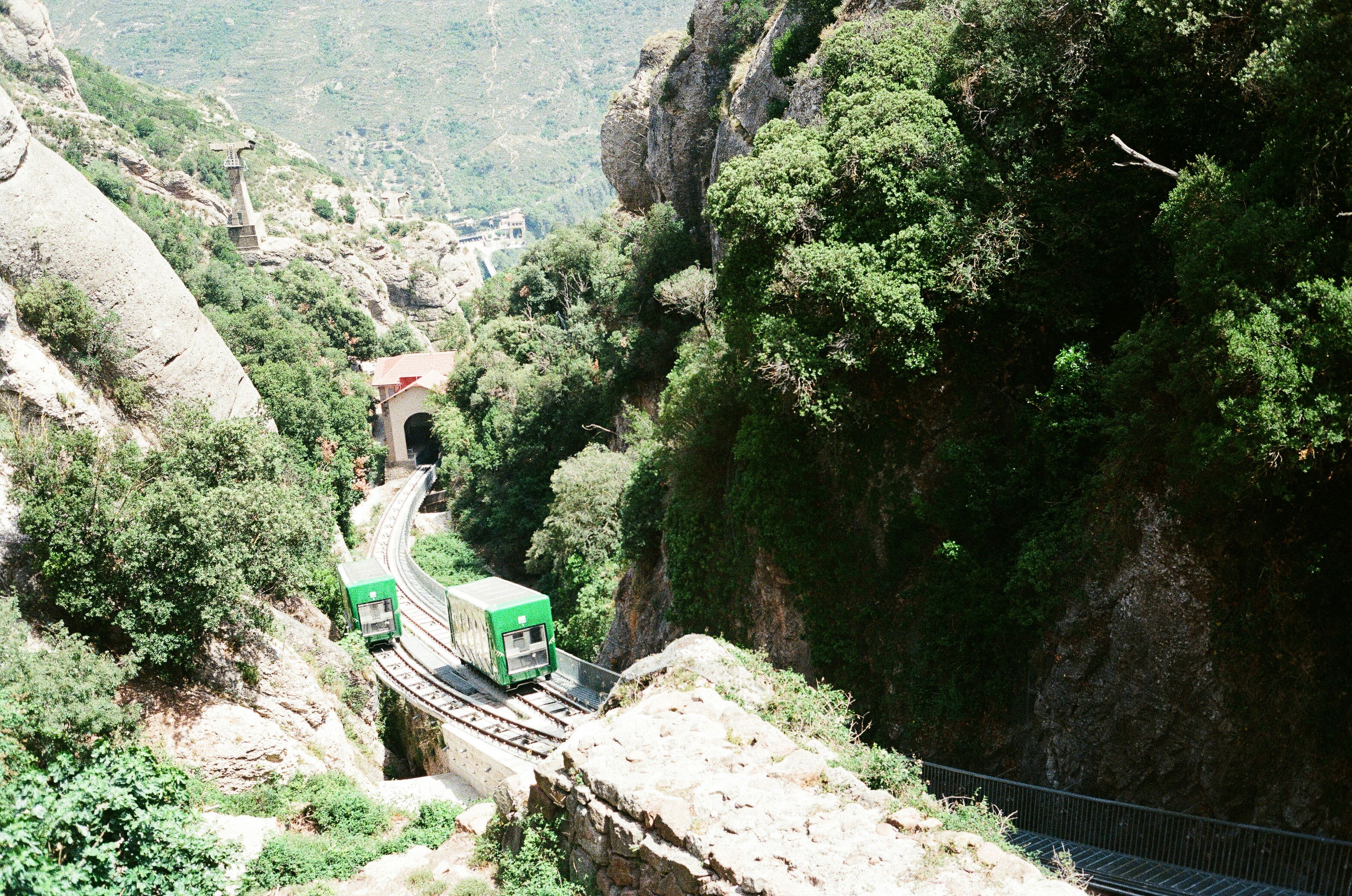 A train traveling through a lush green valley
