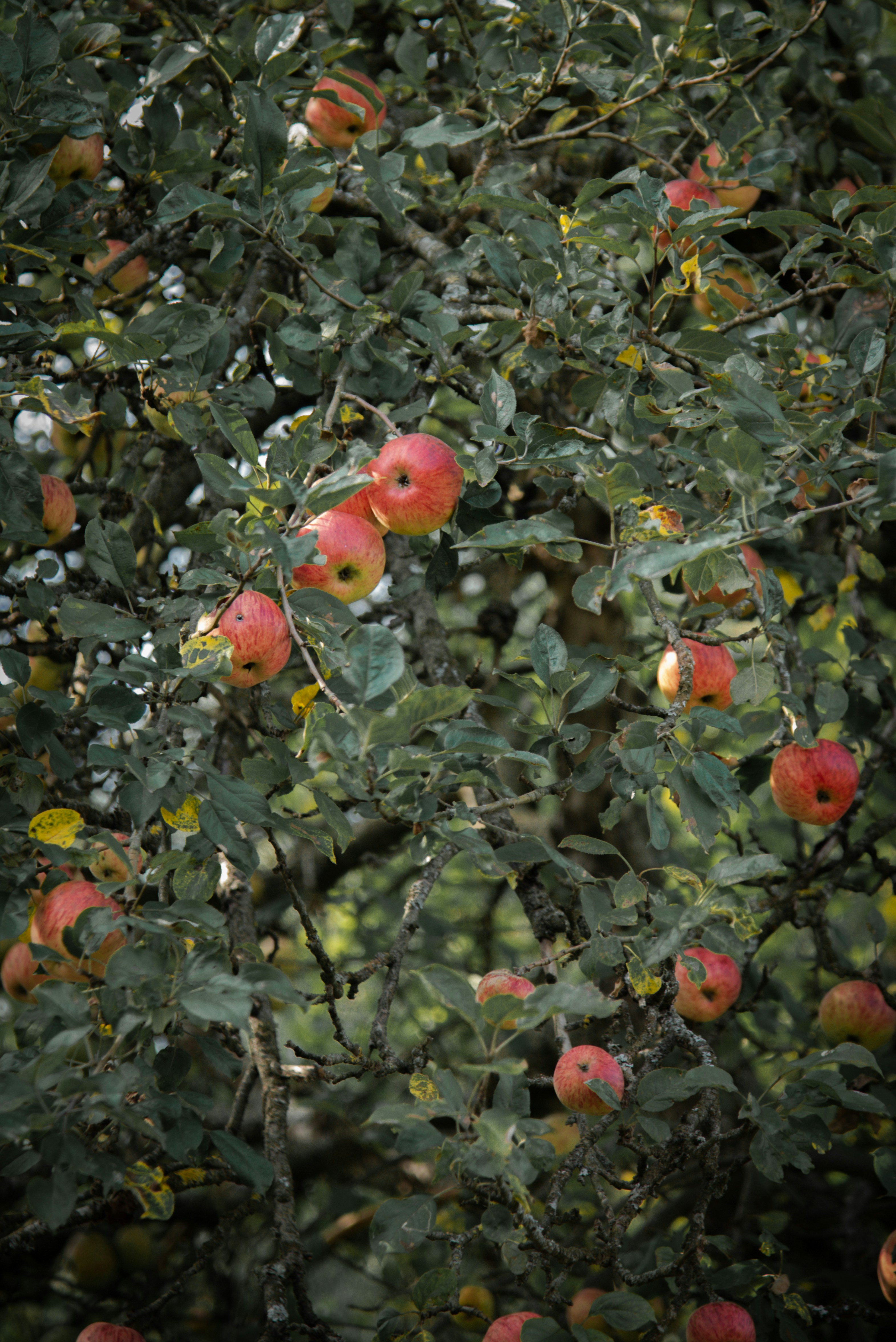 Photo by malwinanogaj