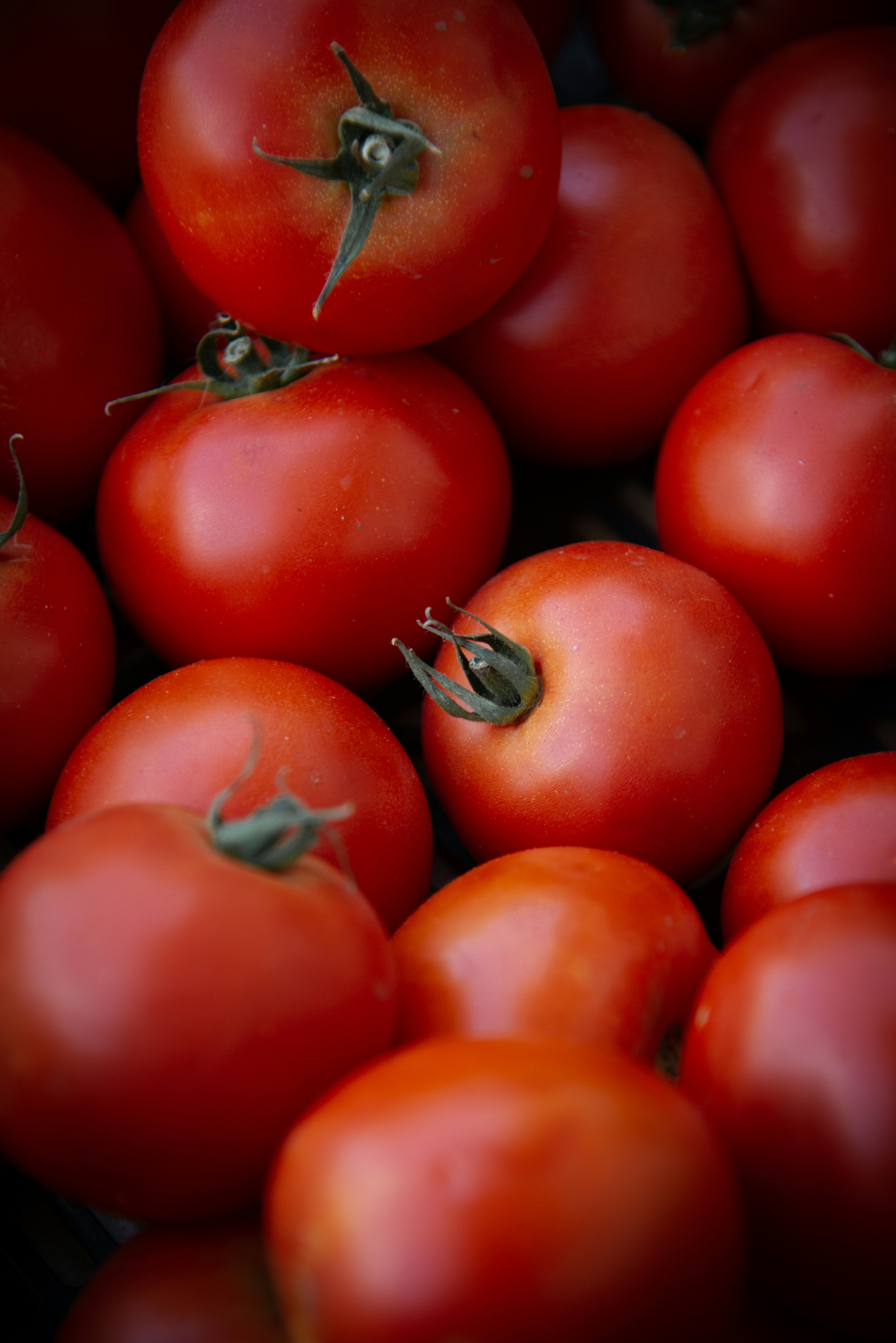 Photo by malwinanogaj