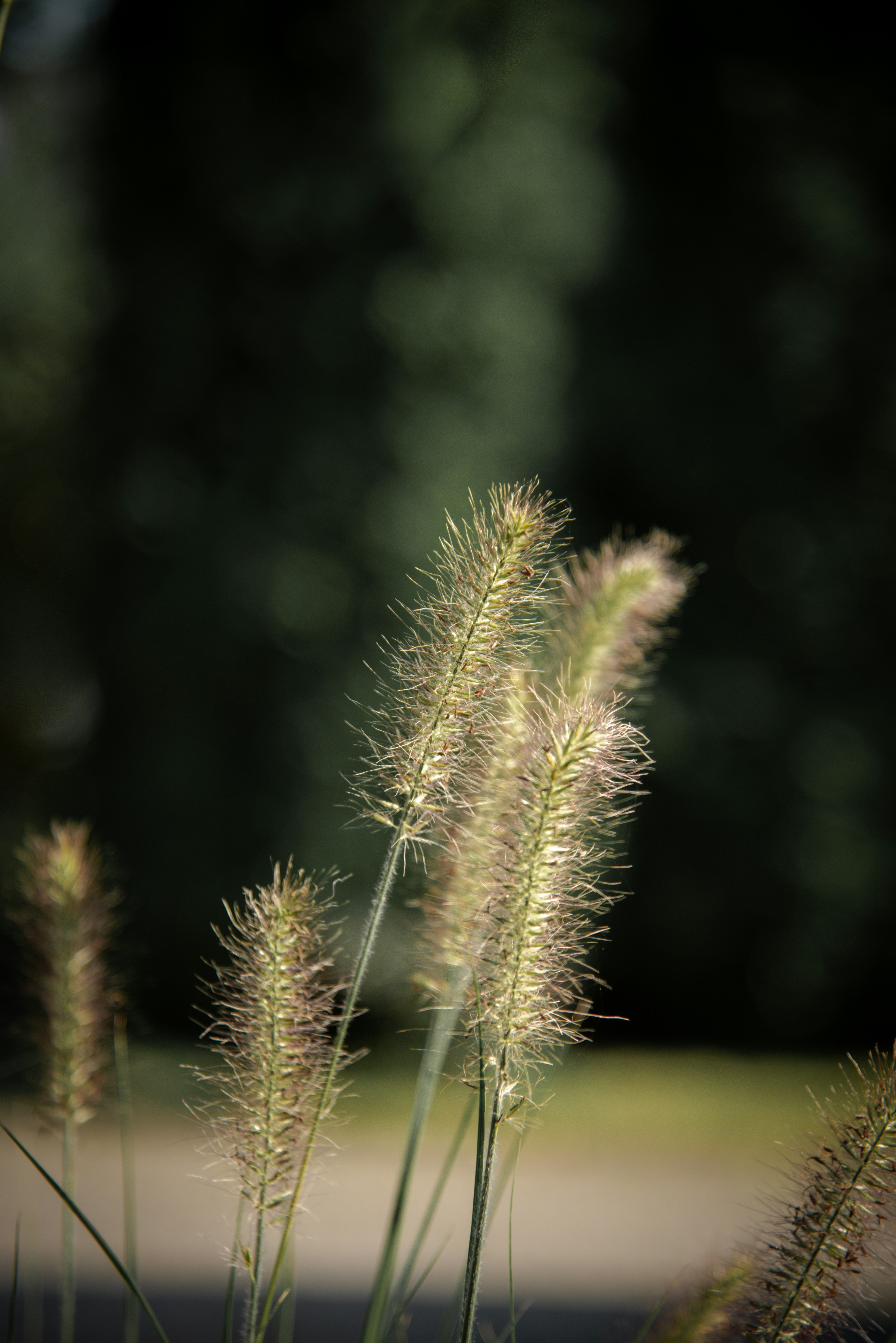 Photo by malwinanogaj