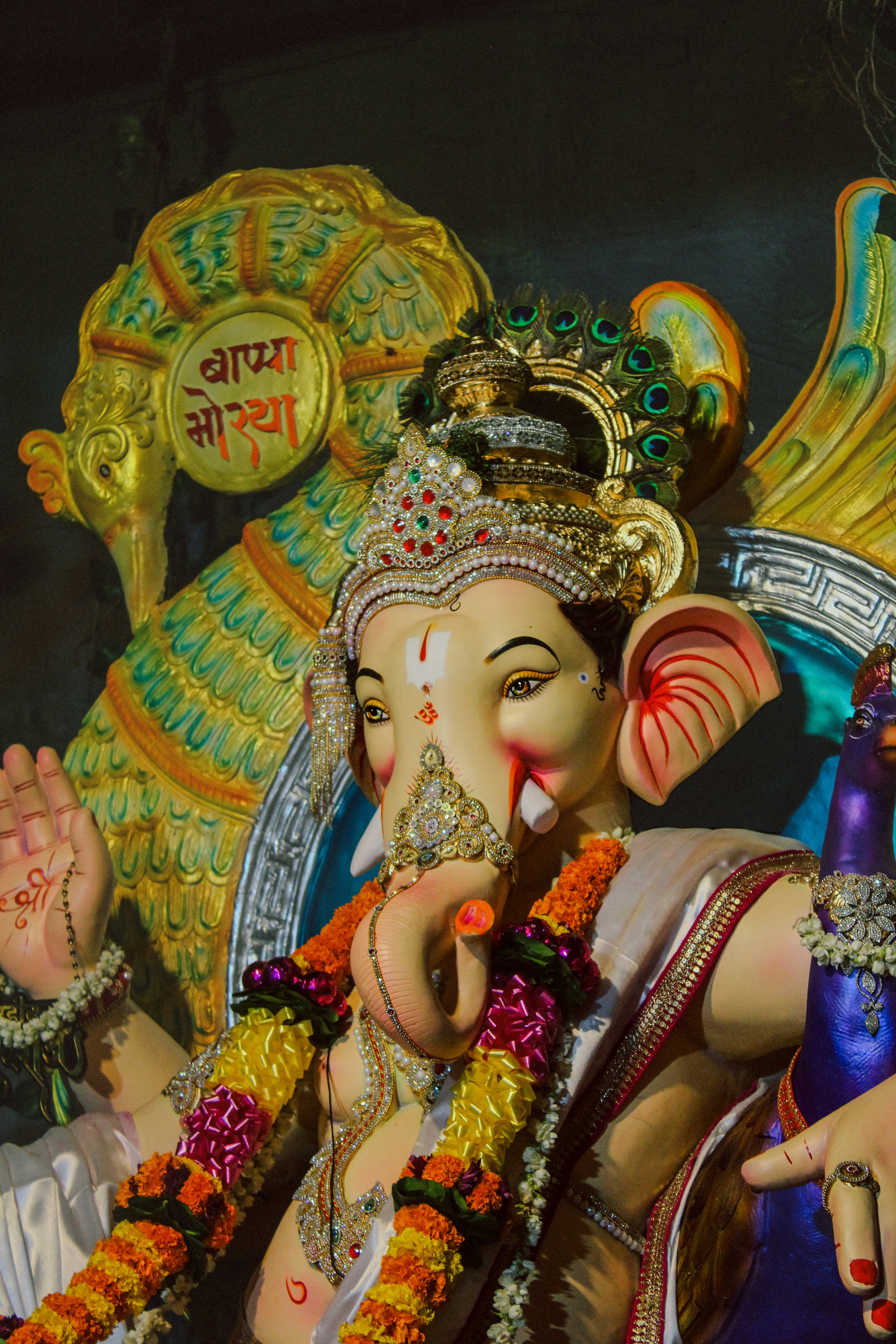 Photo by create_perfectly123