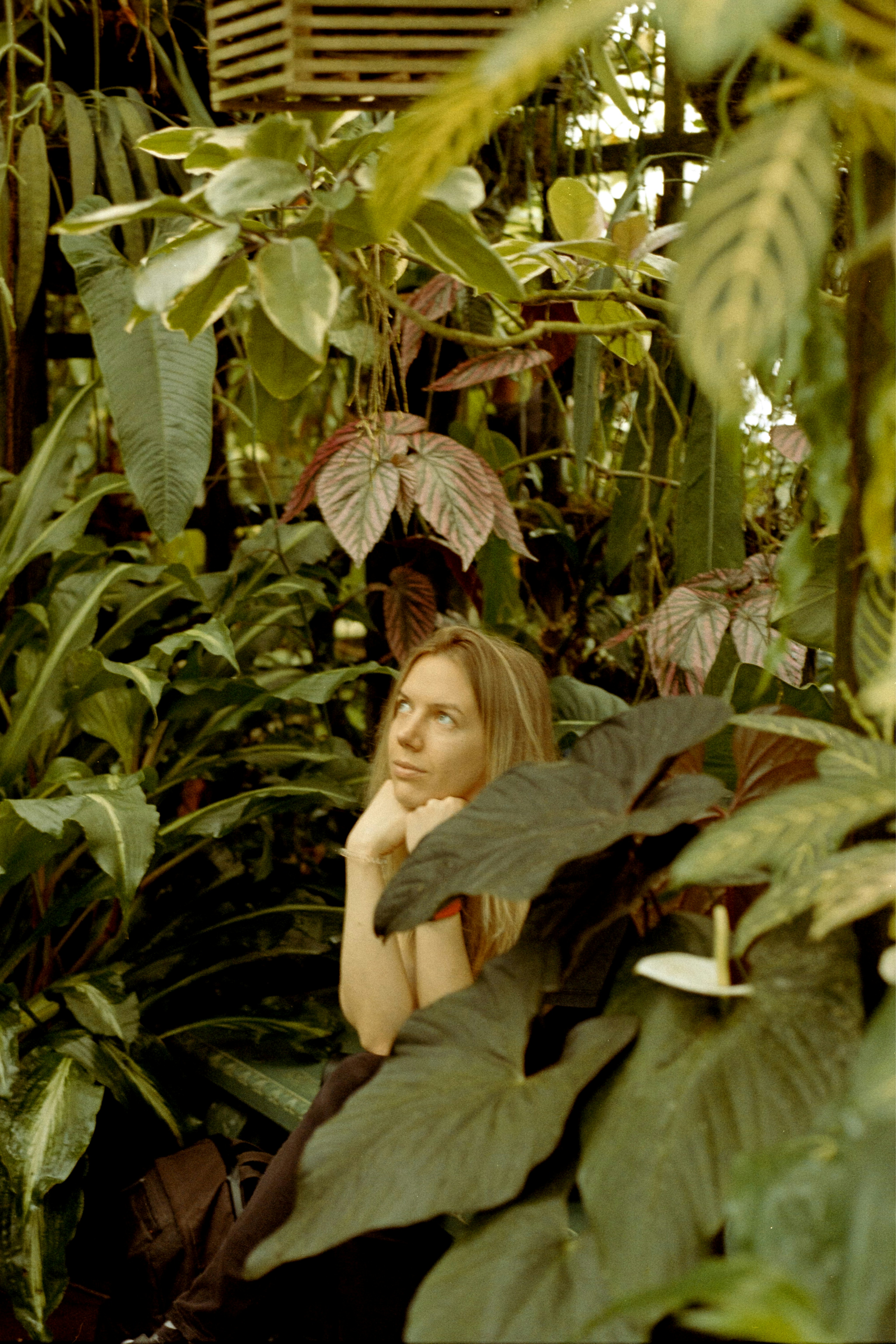 A woman sitting in the middle of a jungle