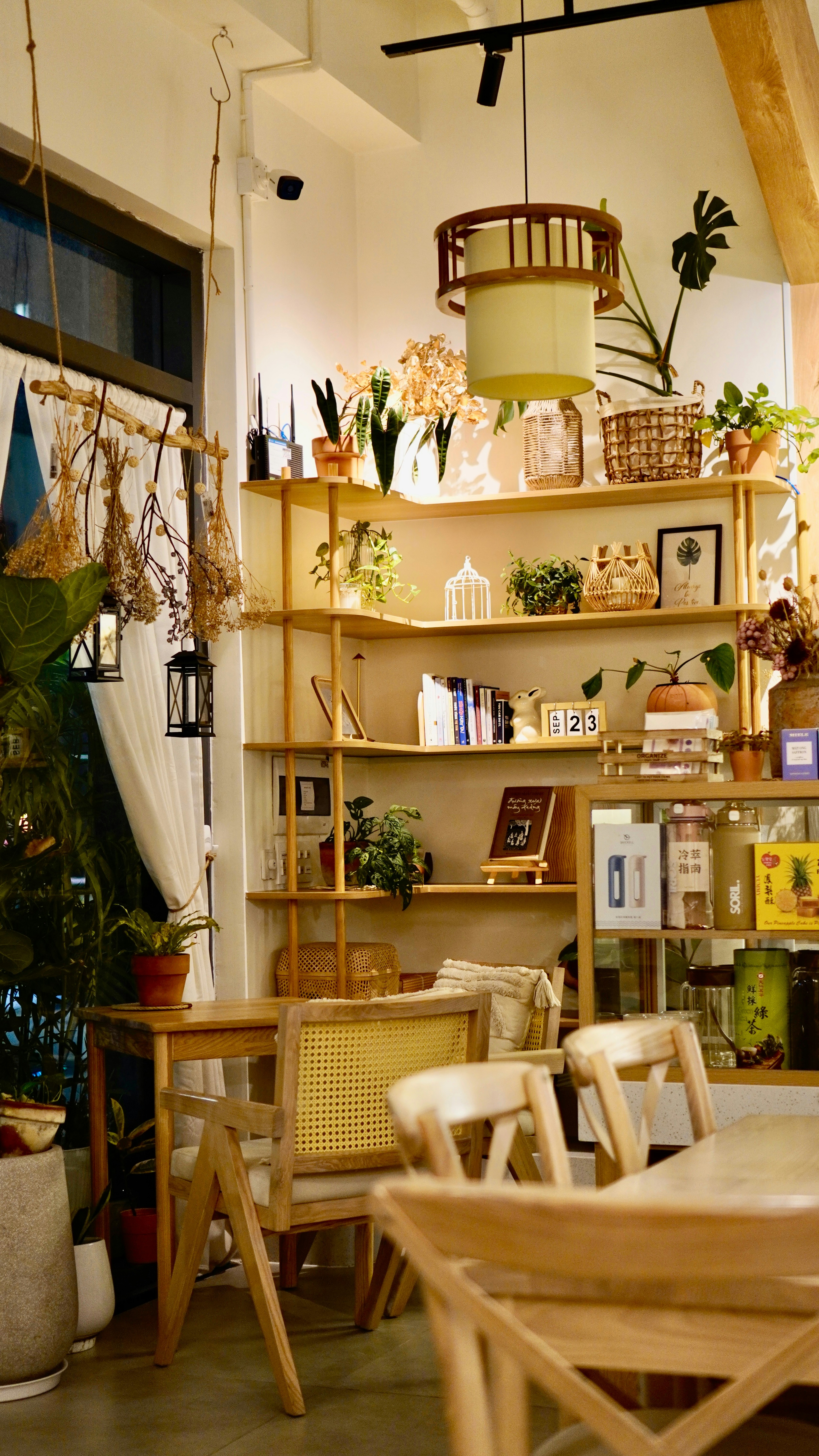 A room filled with lots of furniture and plants