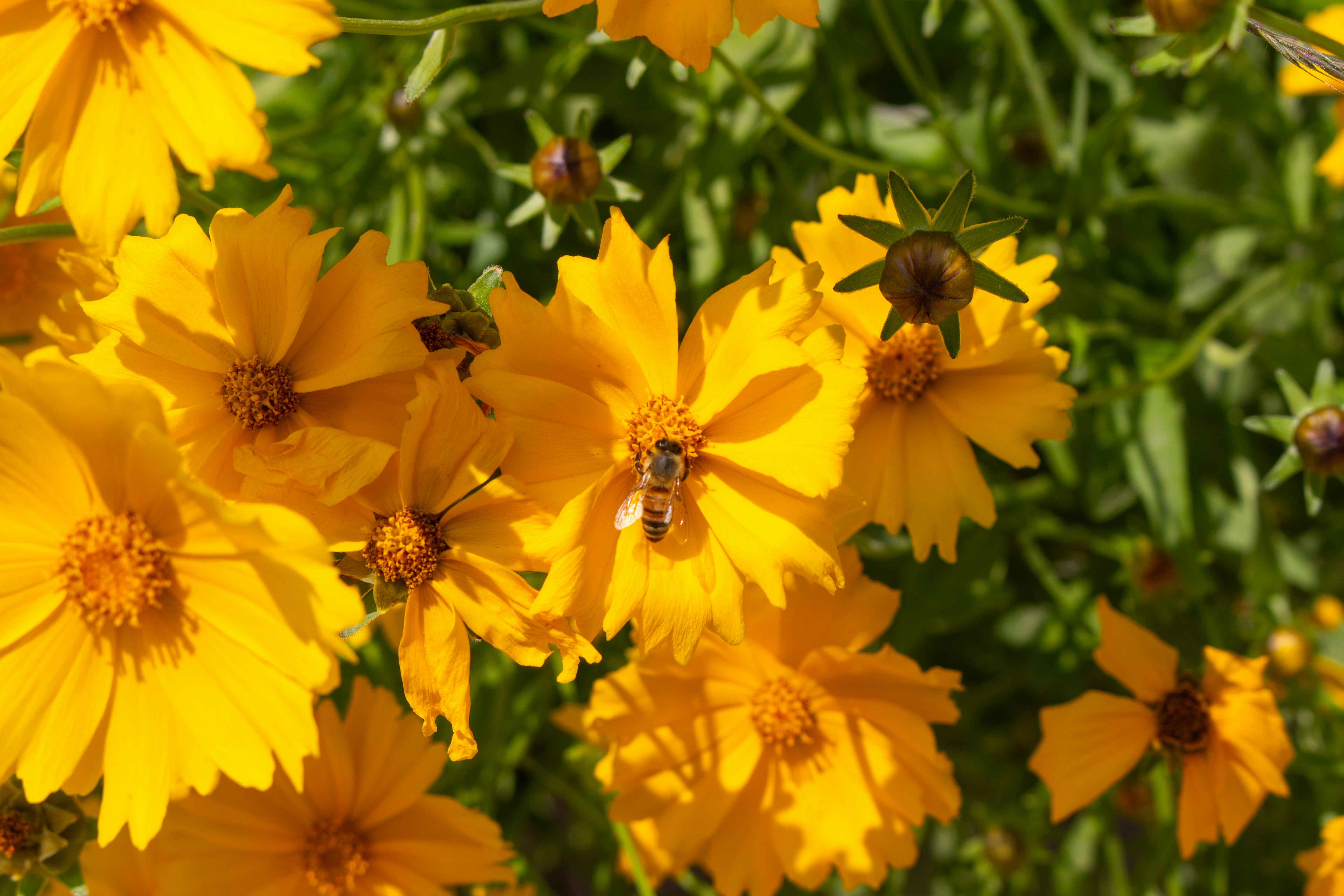 Photo by hyewonphotography