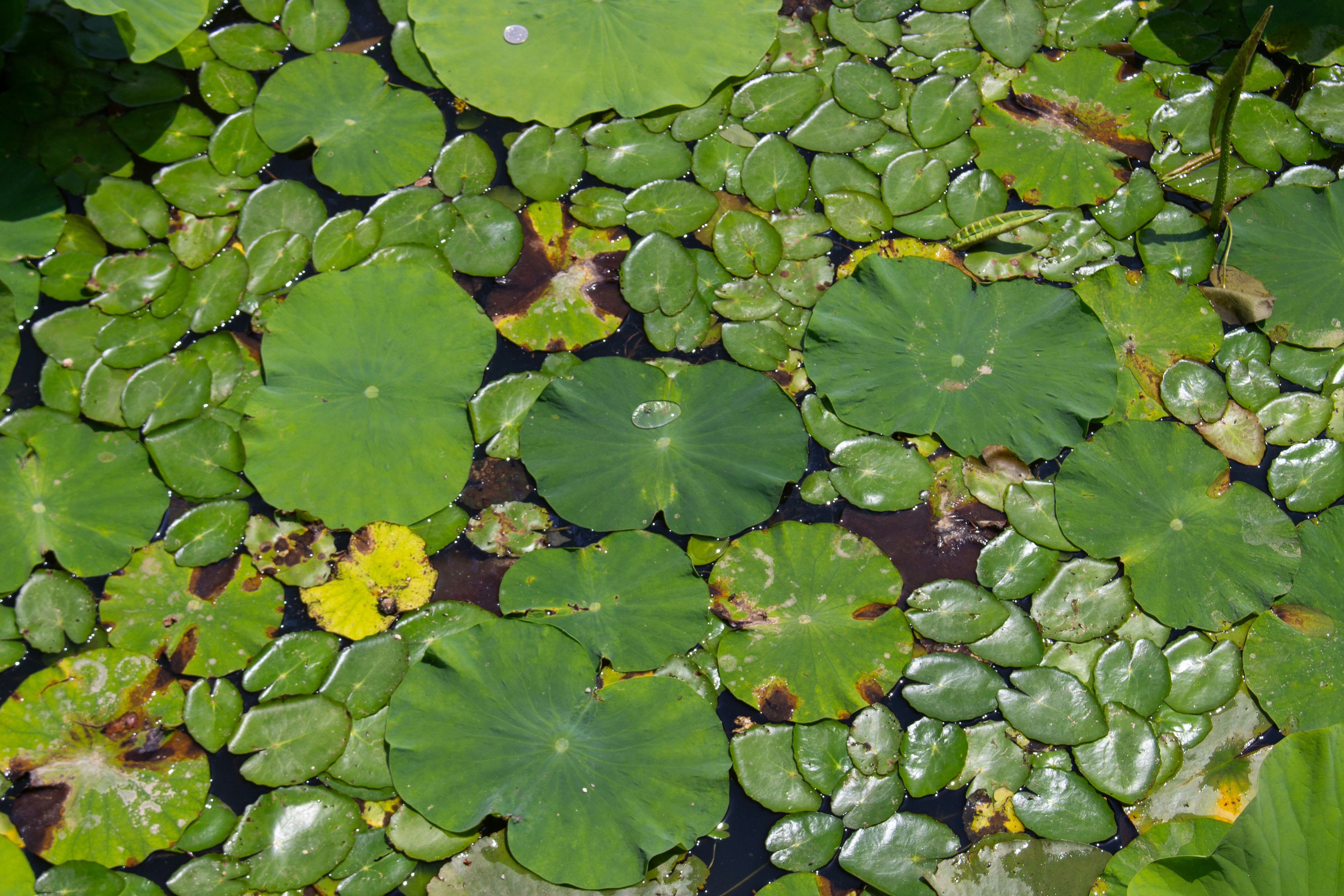 Photo by hyewonphotography