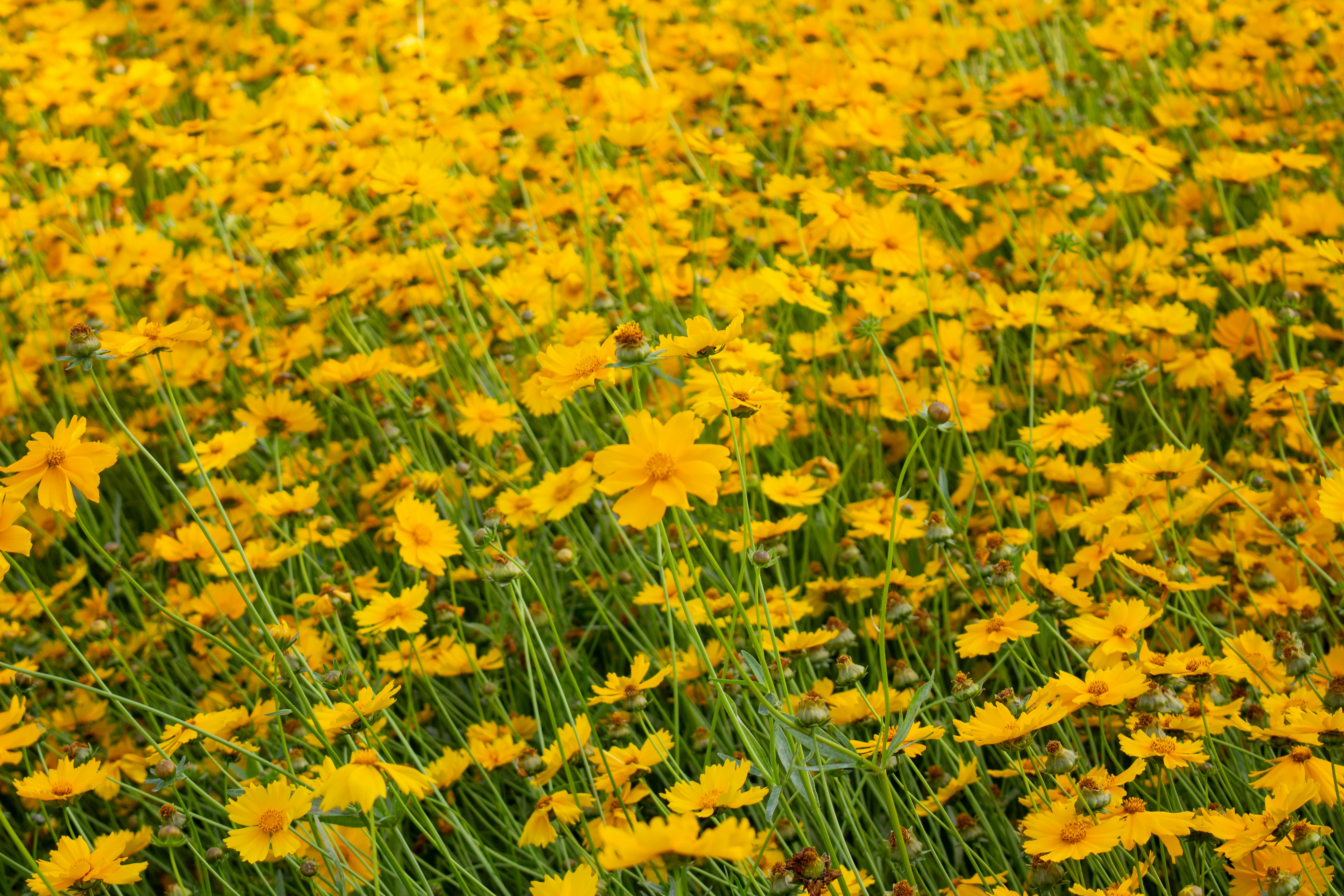 Photo by hyewonphotography