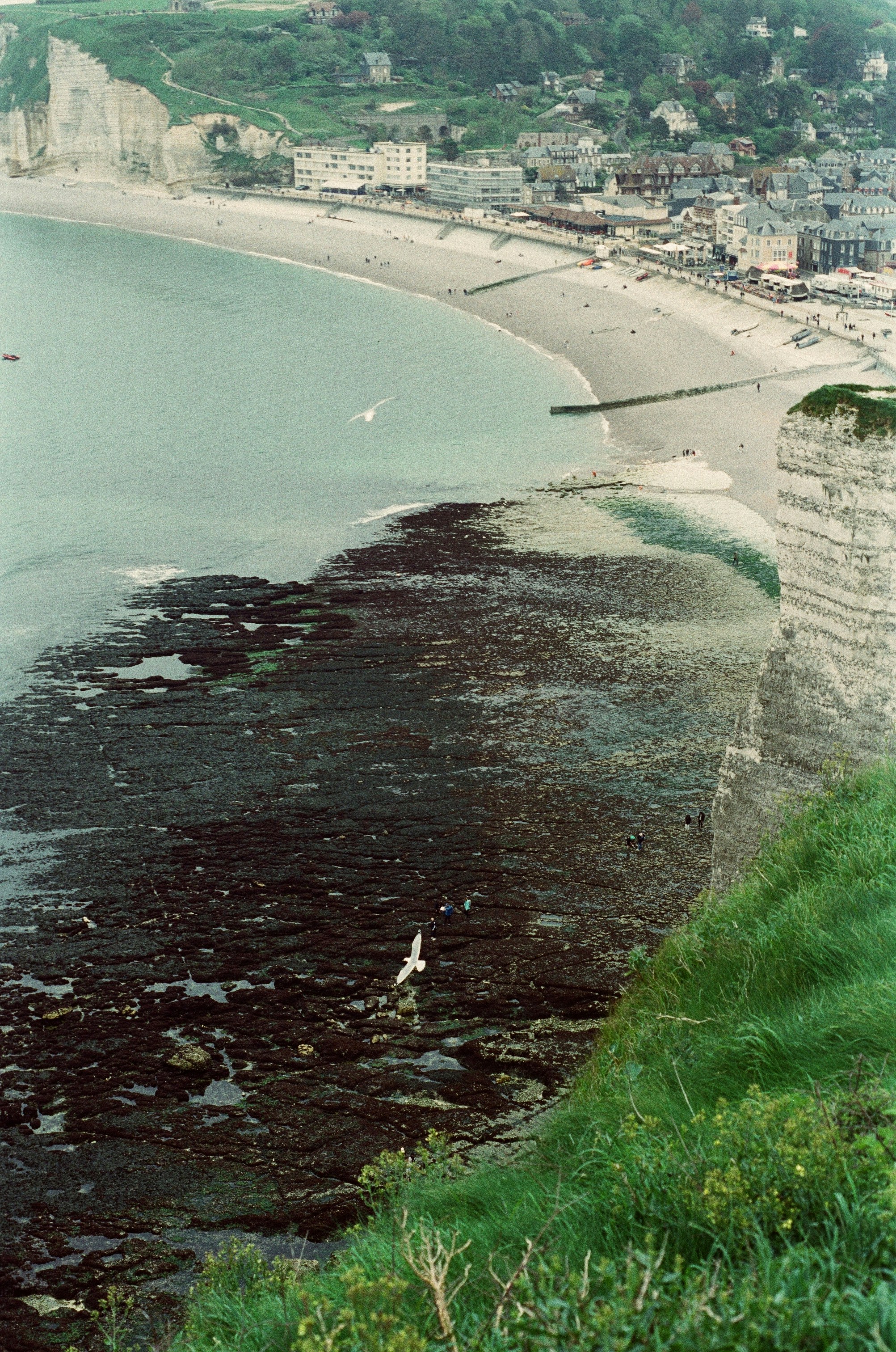A view of a beach from a hill