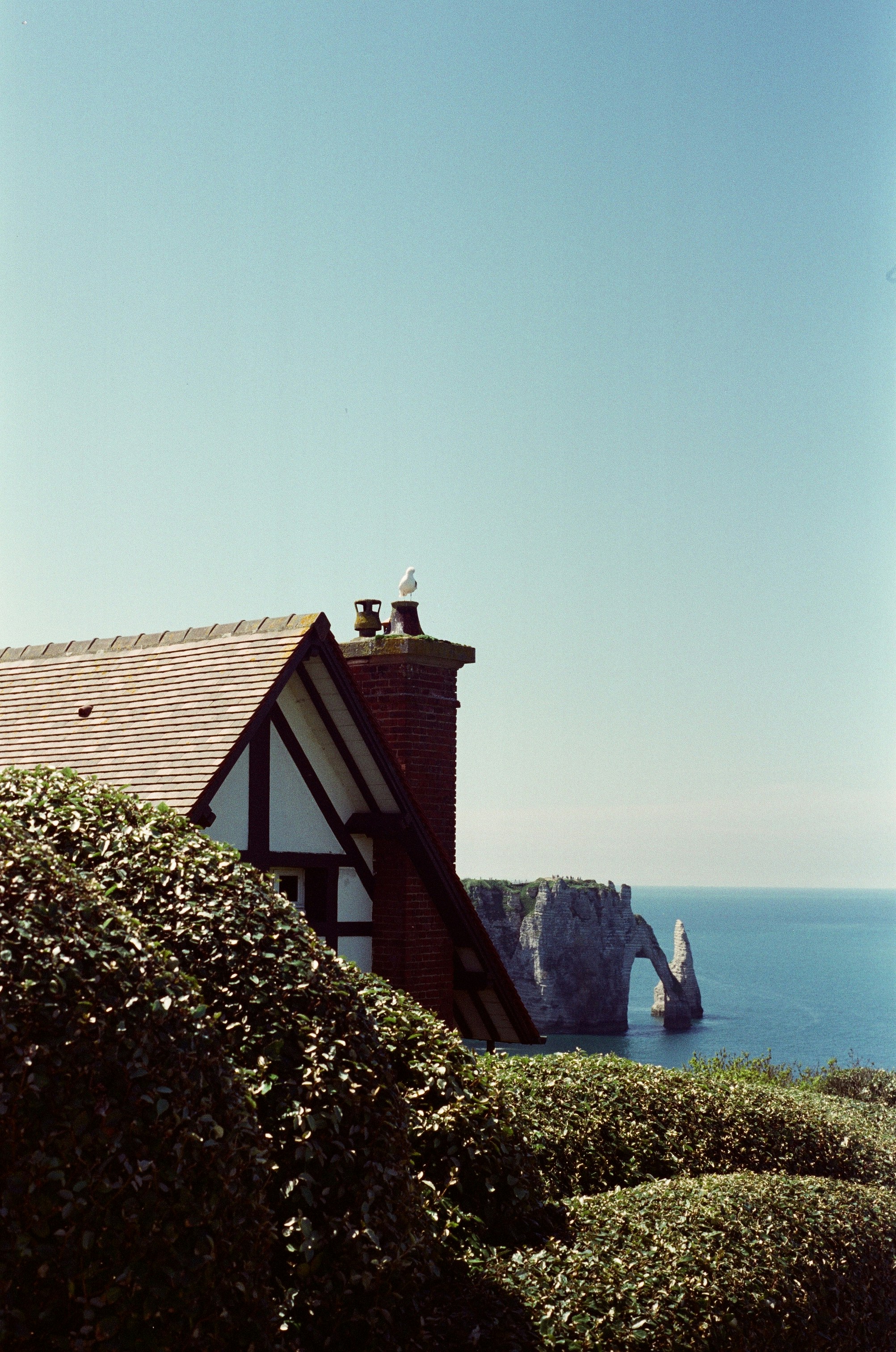A house sitting on top of a lush green hillside next to the ocean