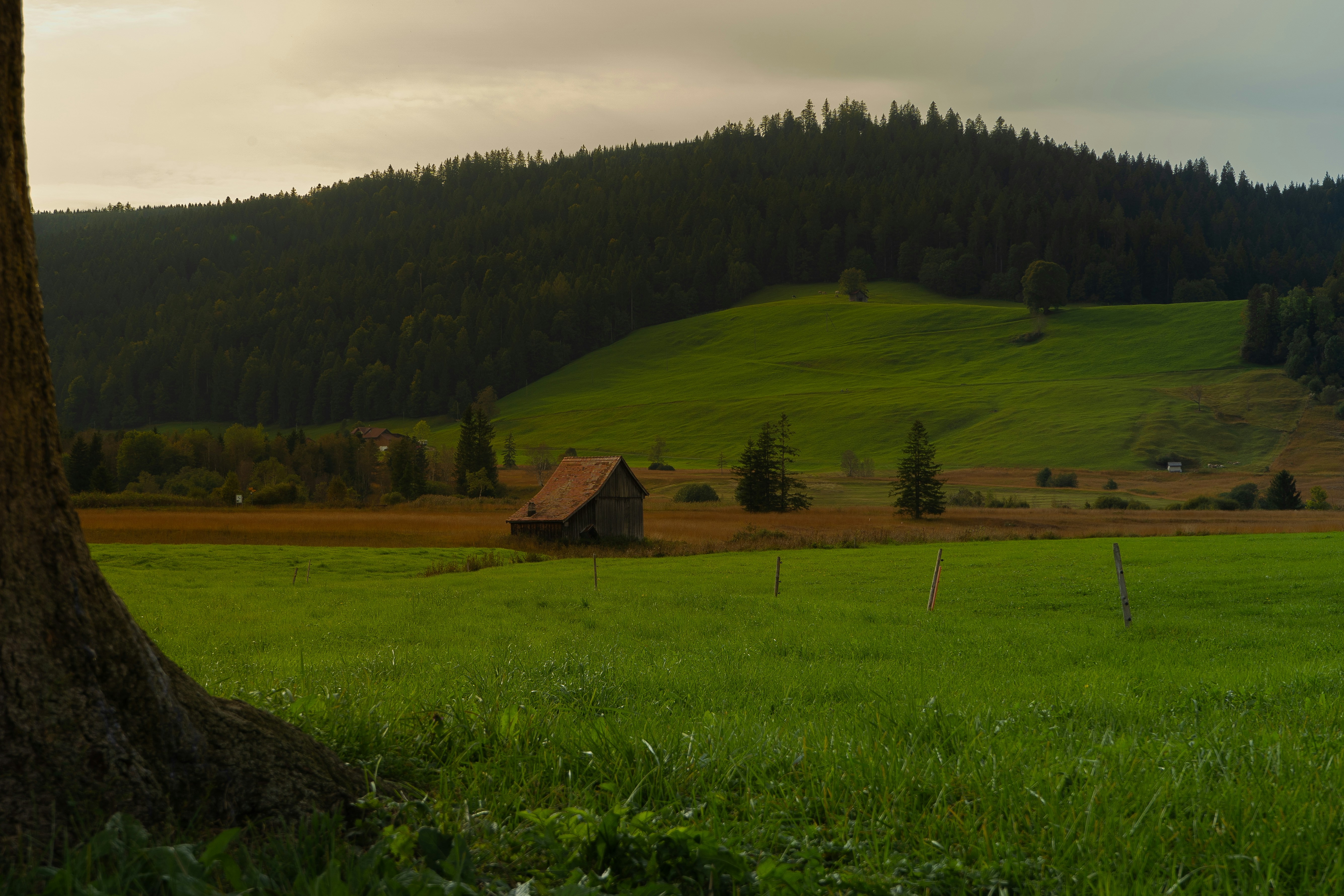 Photo by oconnorstudios