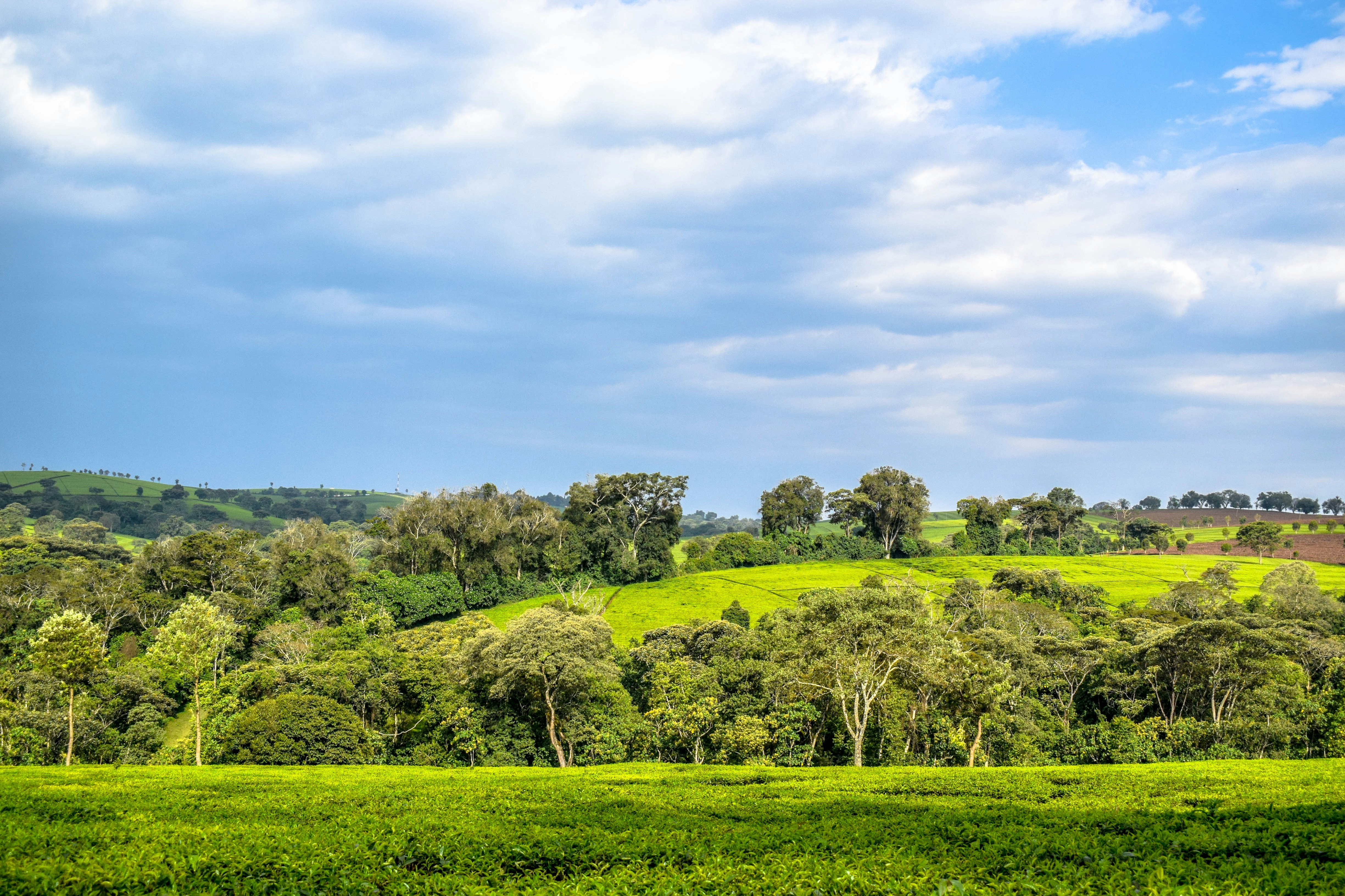 Photo by capt_seaman