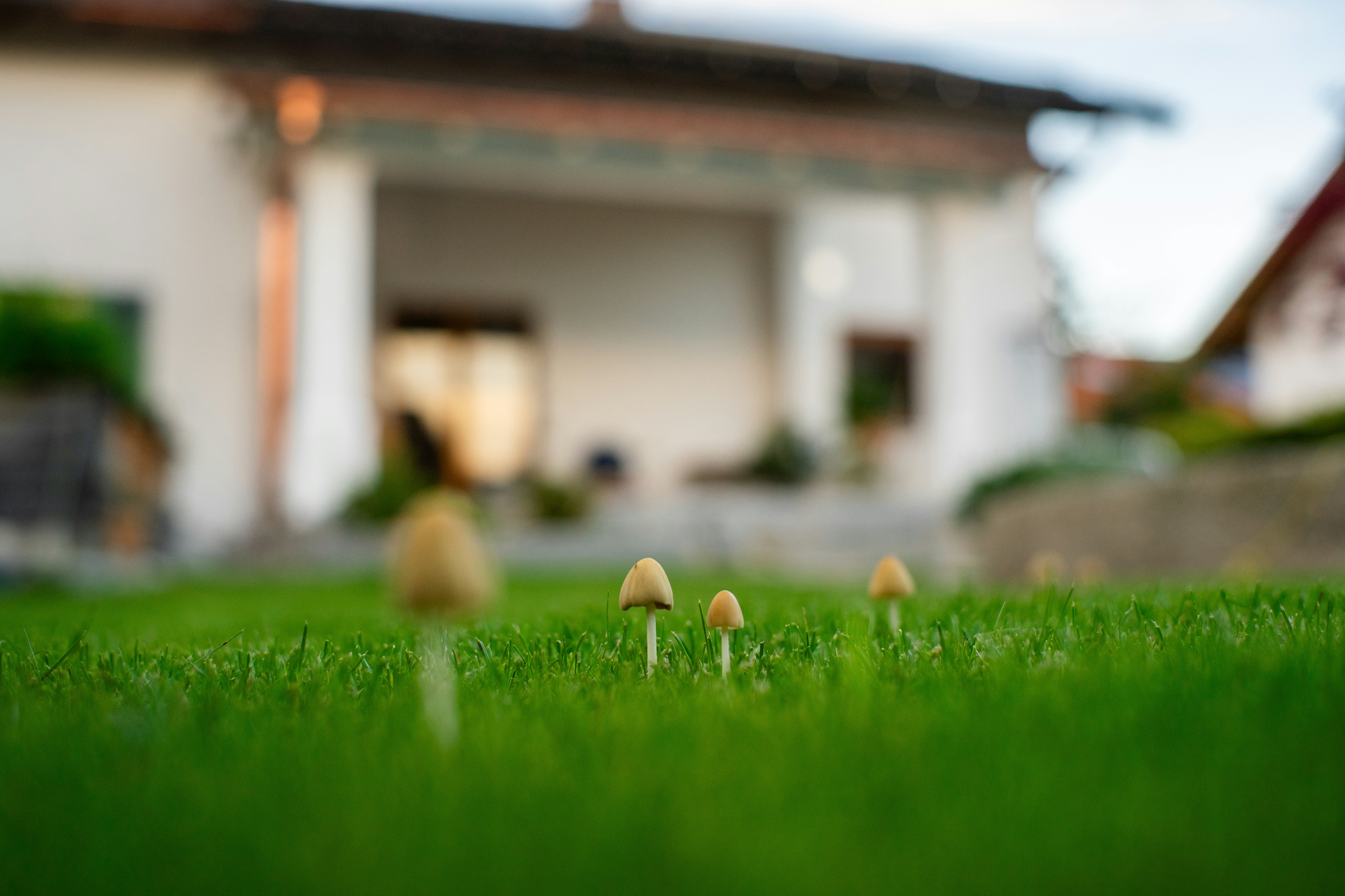 주택 모기지론 연금