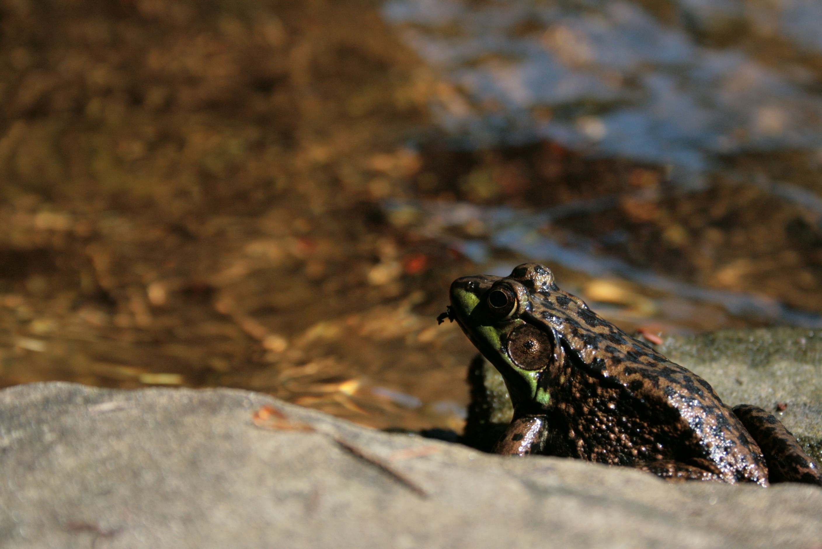 Photo by jmadventures