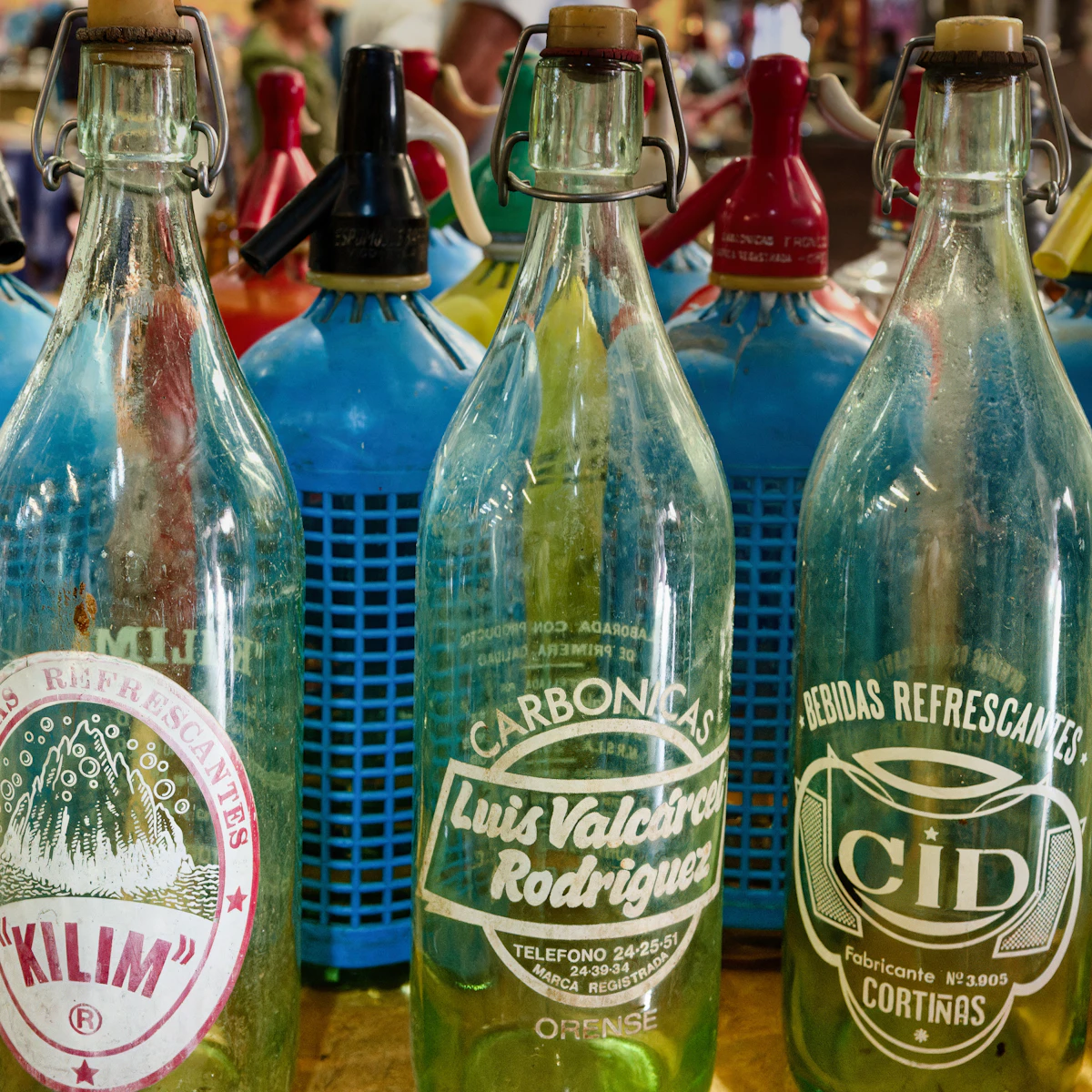 Rows of glass beverage bottles staged along a bottling line