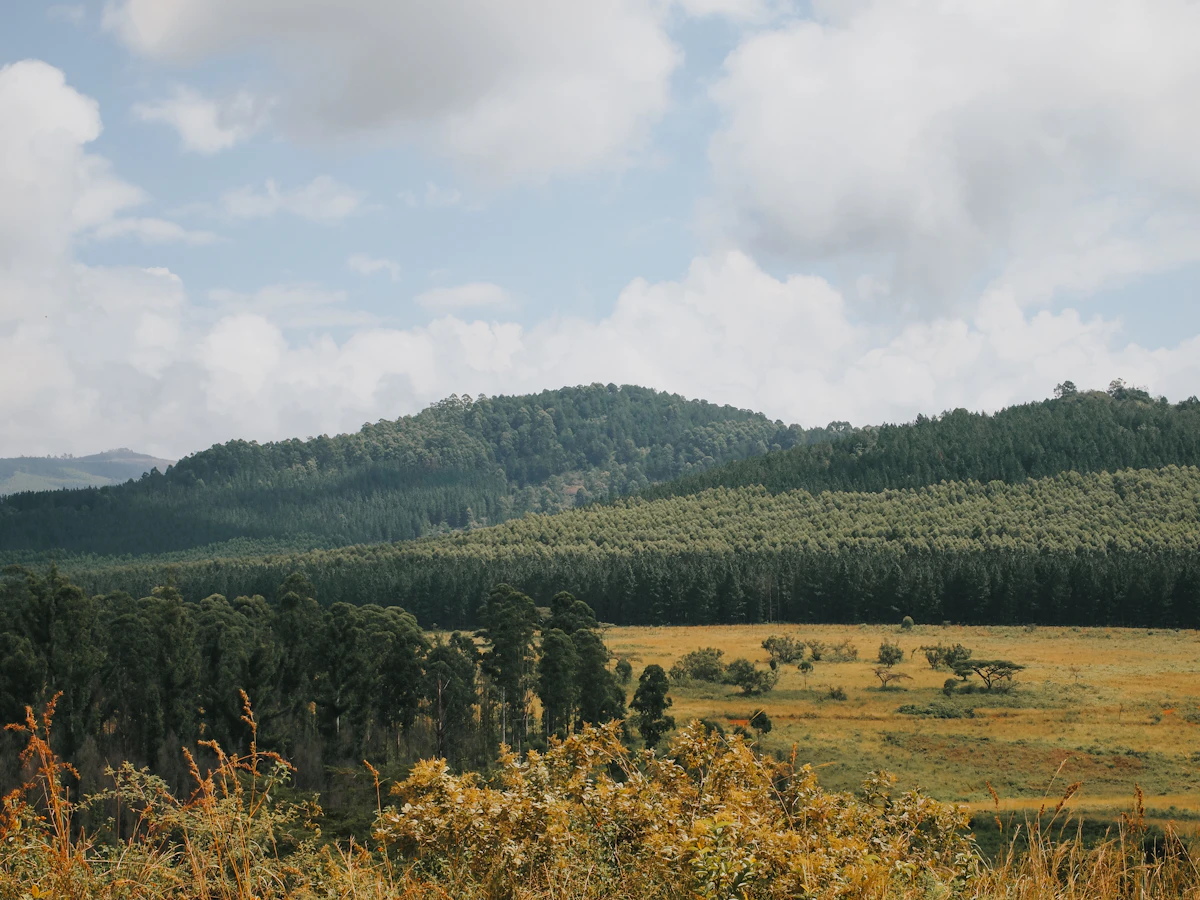 Vallée d'Ezulwini