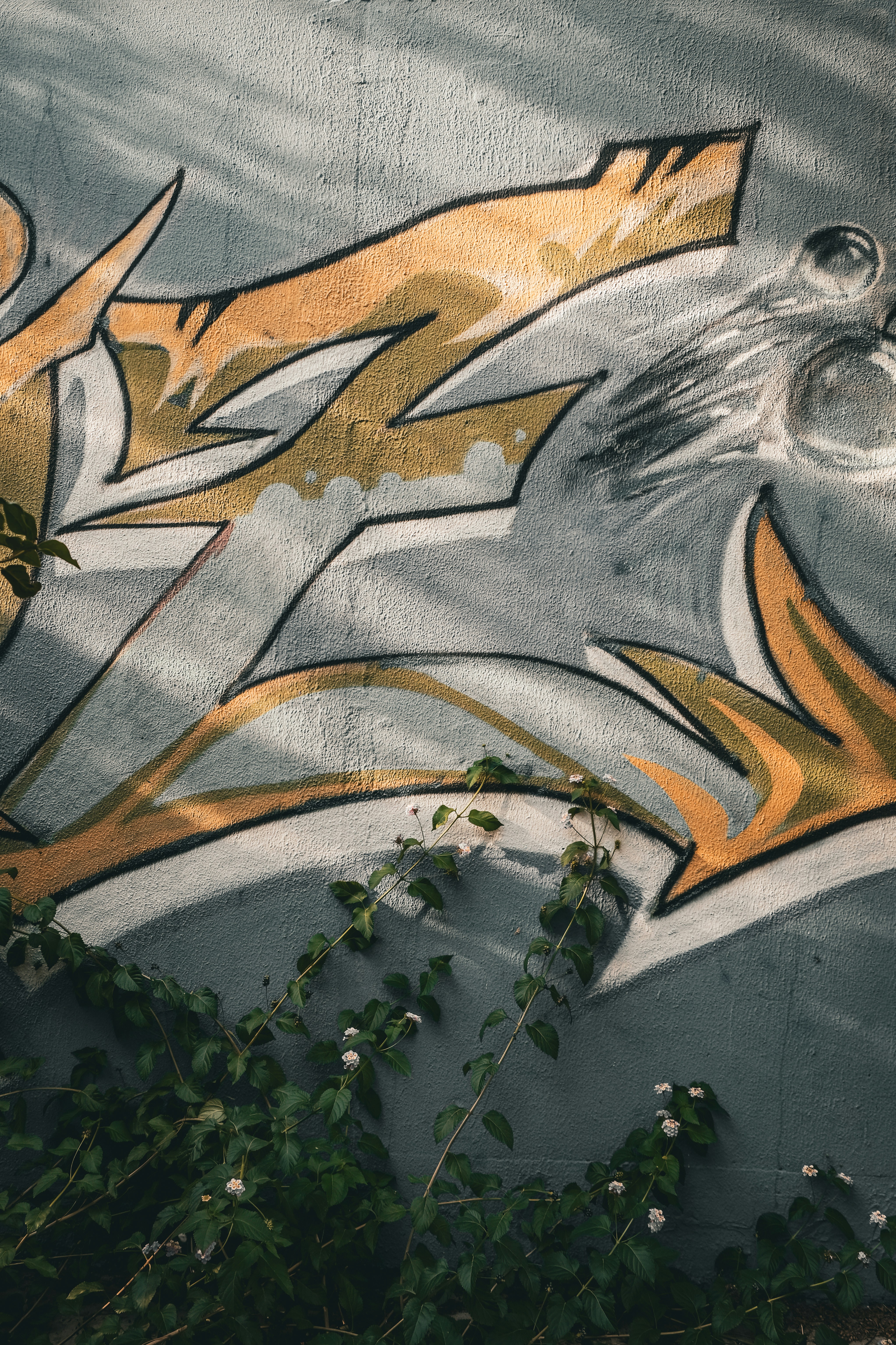 Photo by gencsanatkultur