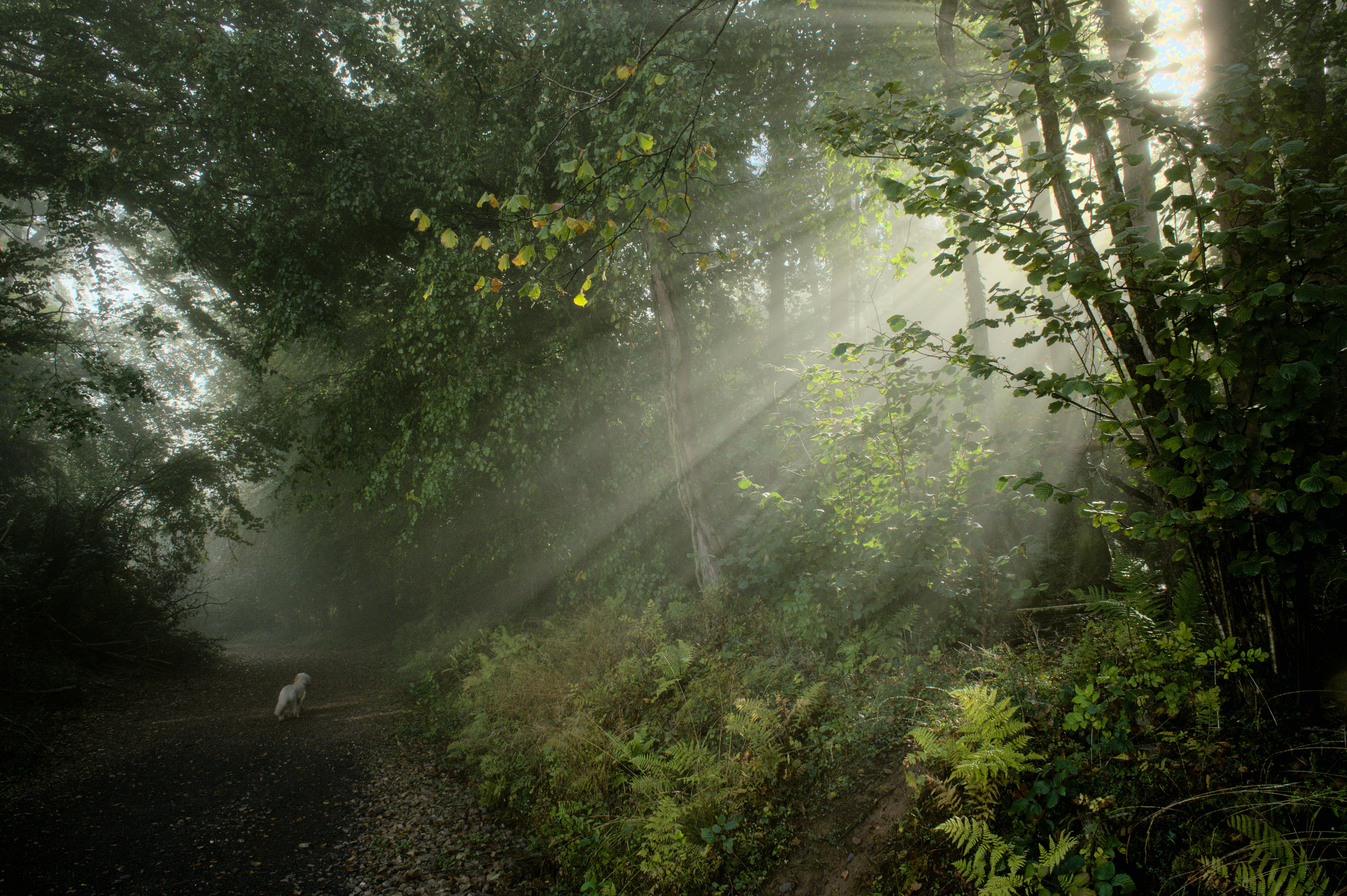 Photo by pratjeffley