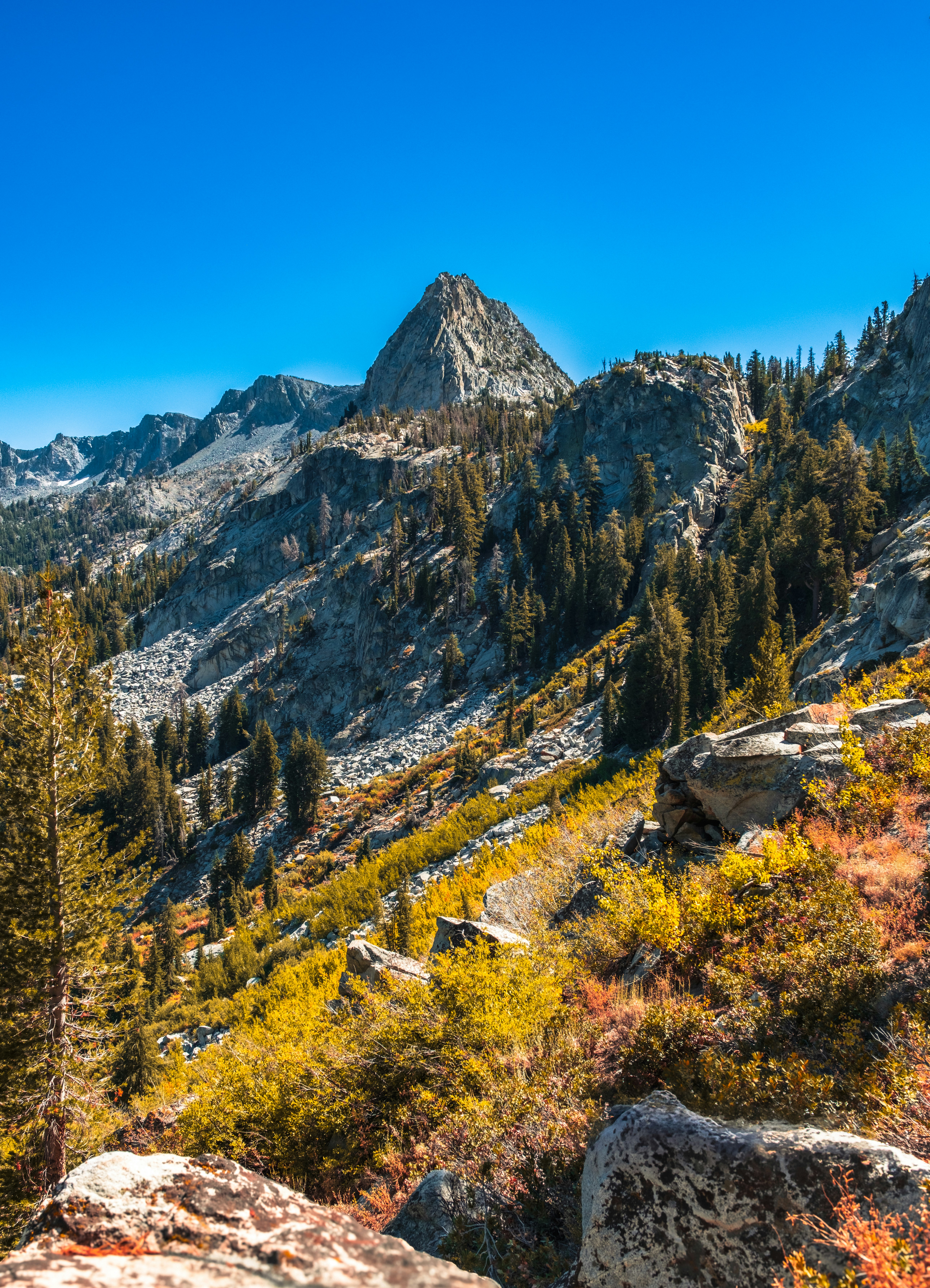 Photo by markthethomas