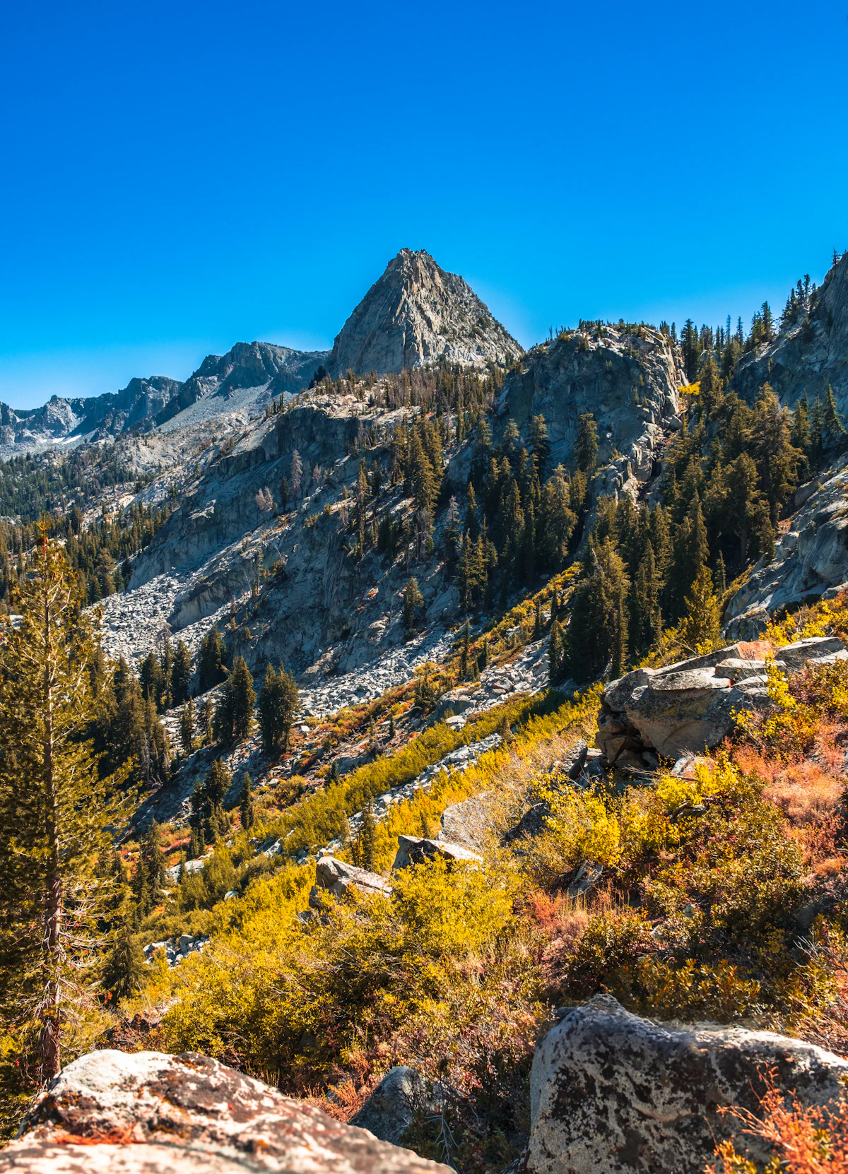 Crystal Crag above slopes of yellowing autumn shrubs and pines, near Mammoth Lakes