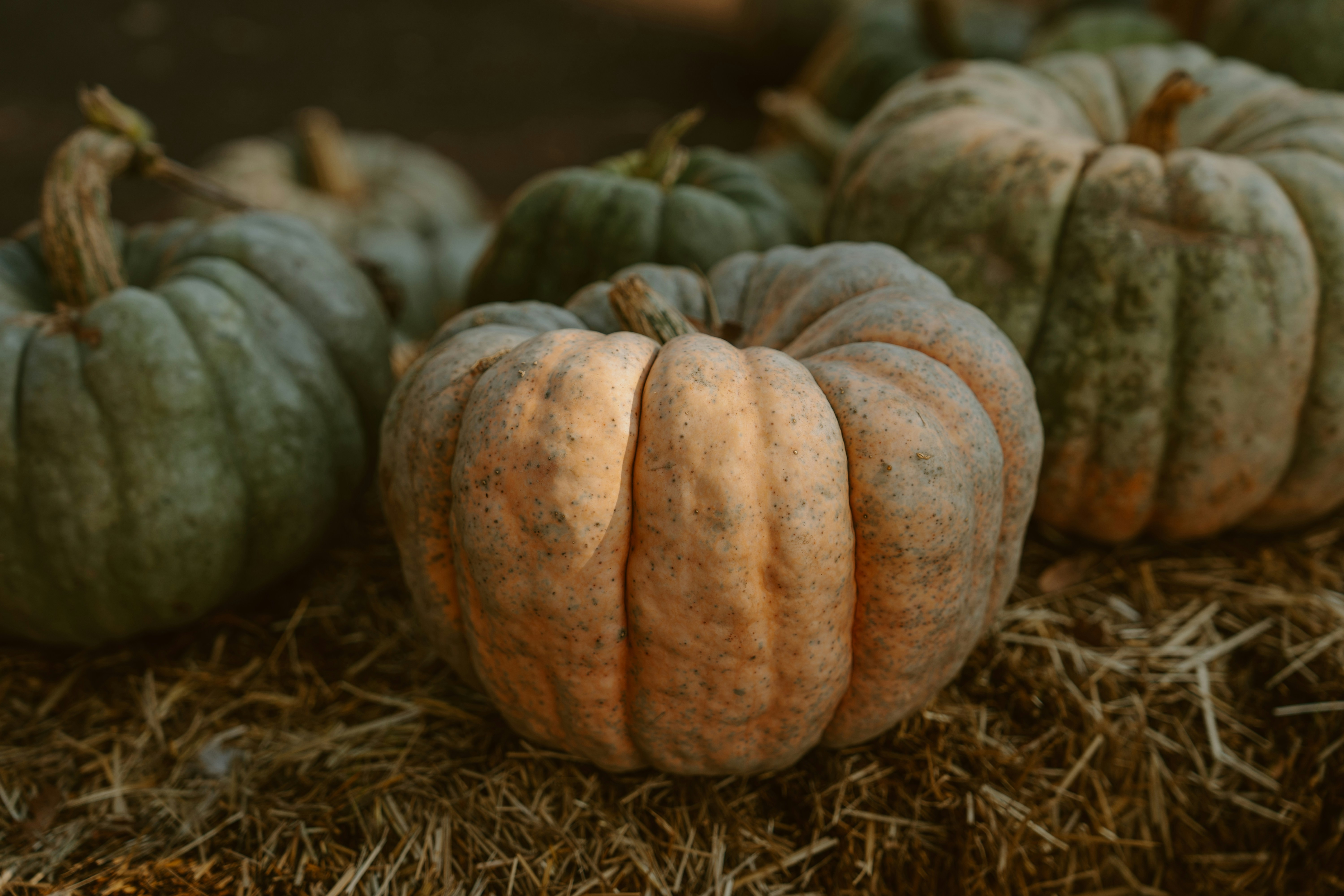 Photo by emilyirenephotoco