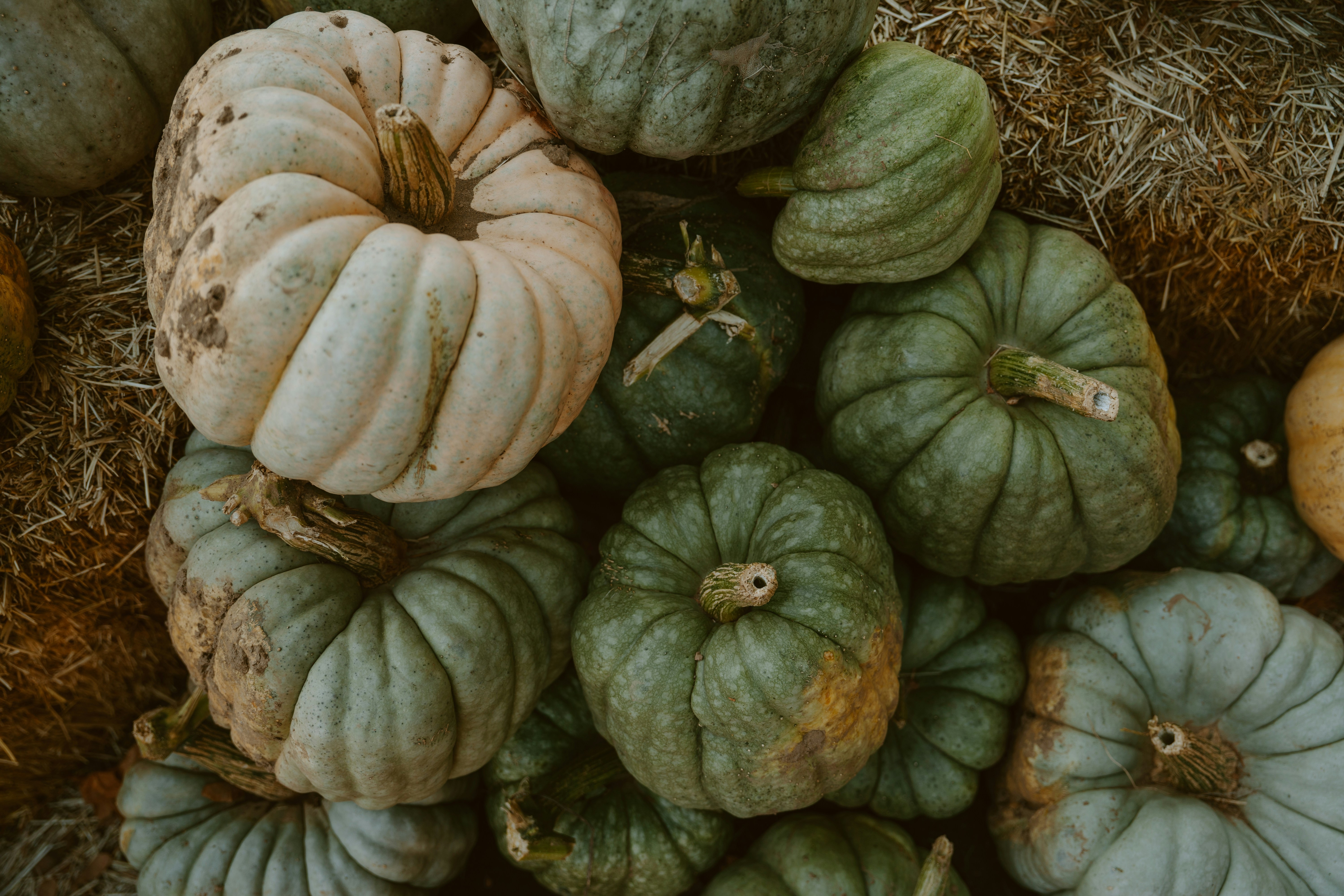A pile of pumpkins sitting on top of hay