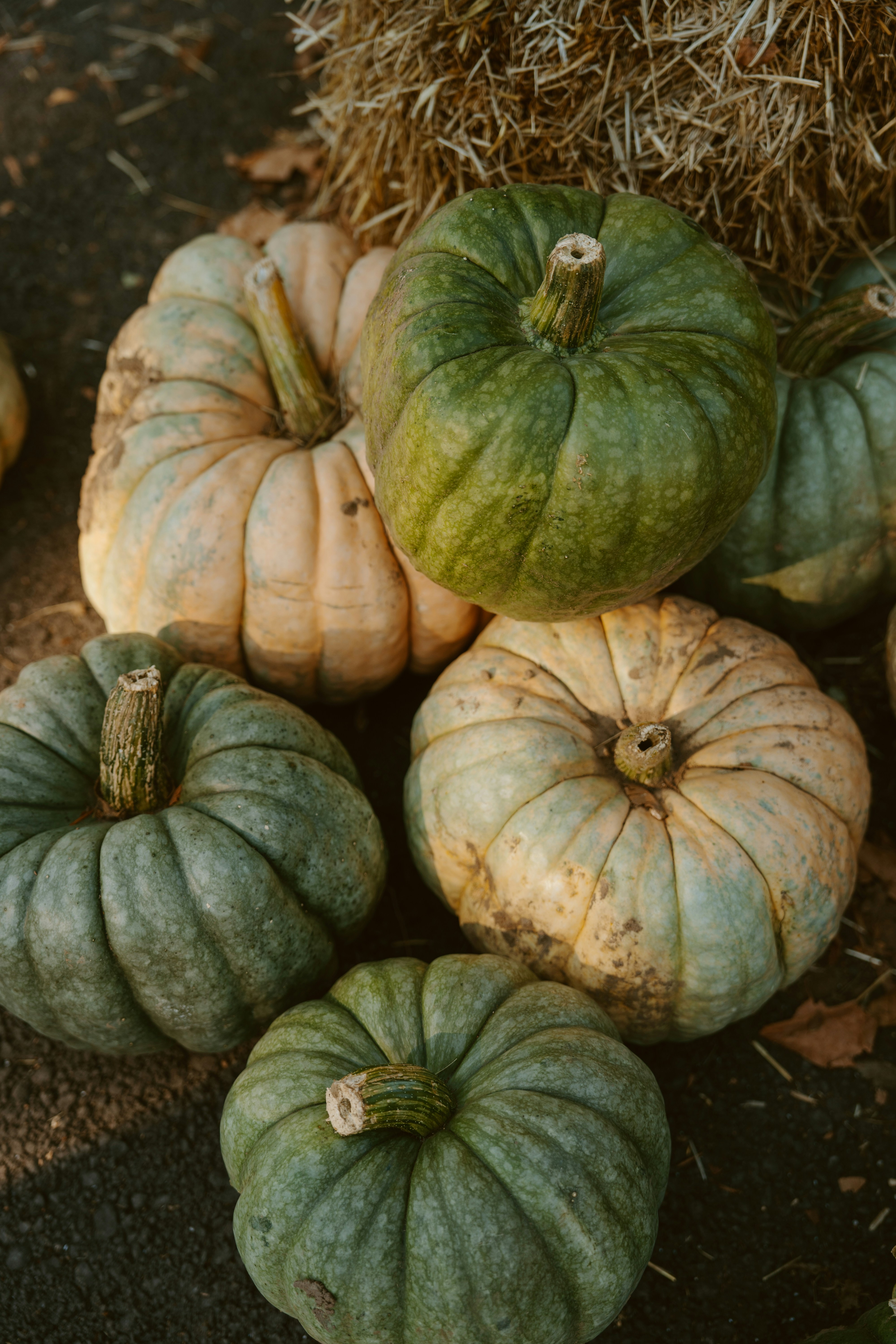 Photo by emilyirenephotoco