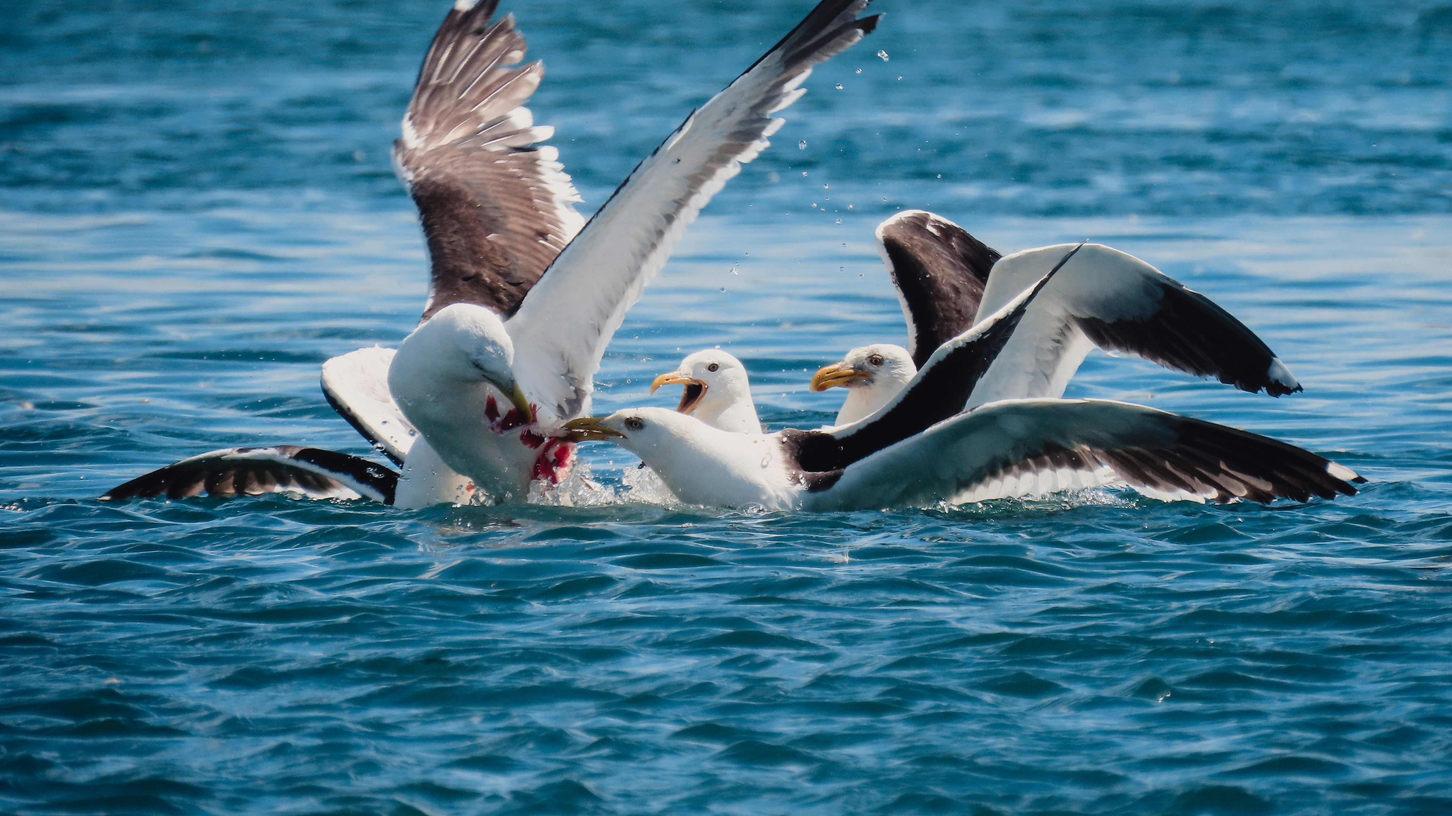 Photo by cc_photograph