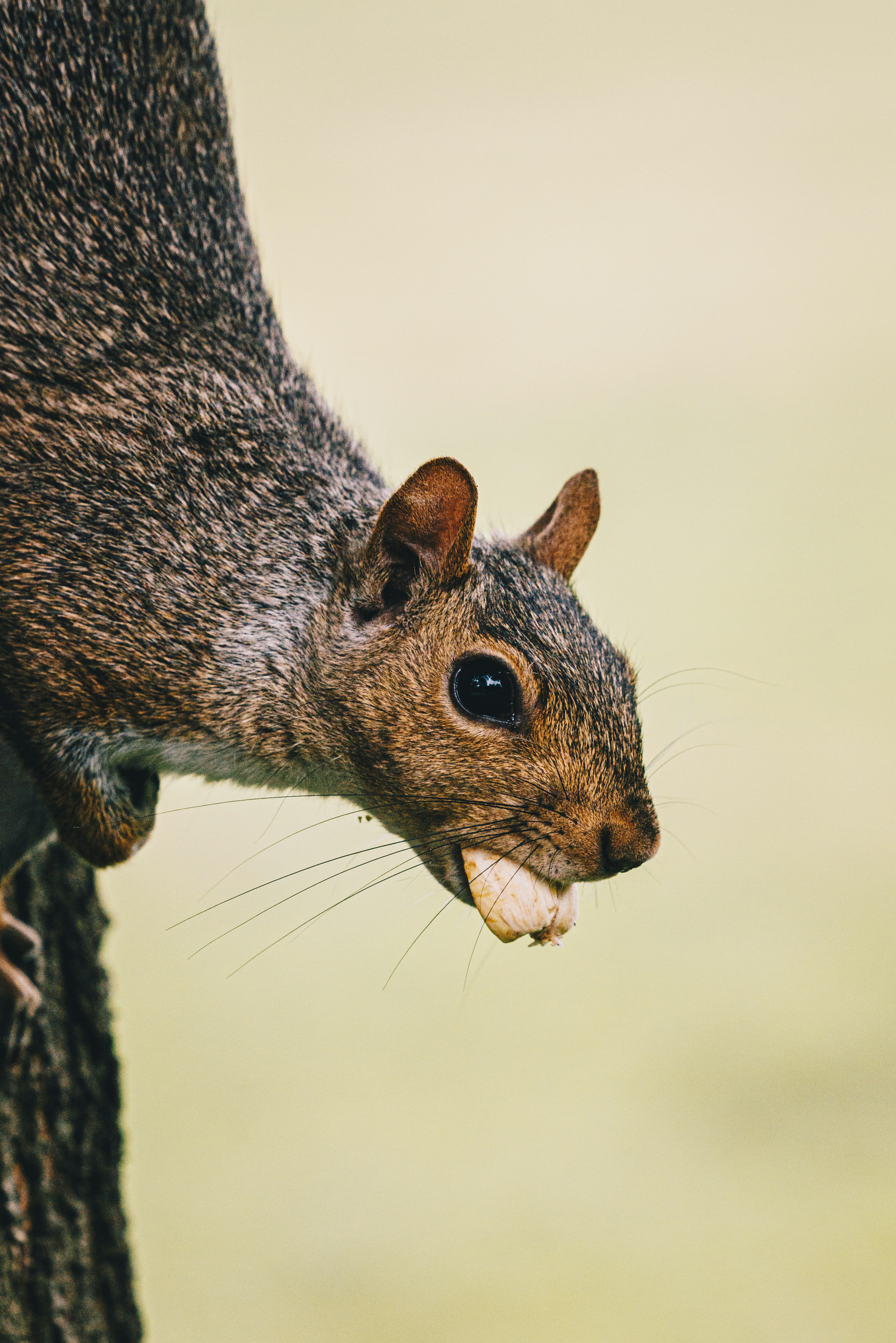 Photo by storywright