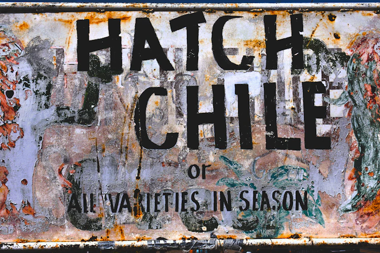 Hatch