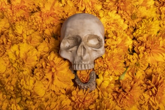 A human skull on a bed of yellow flowers