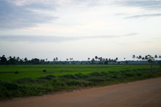 A dirt road with a green field in the background