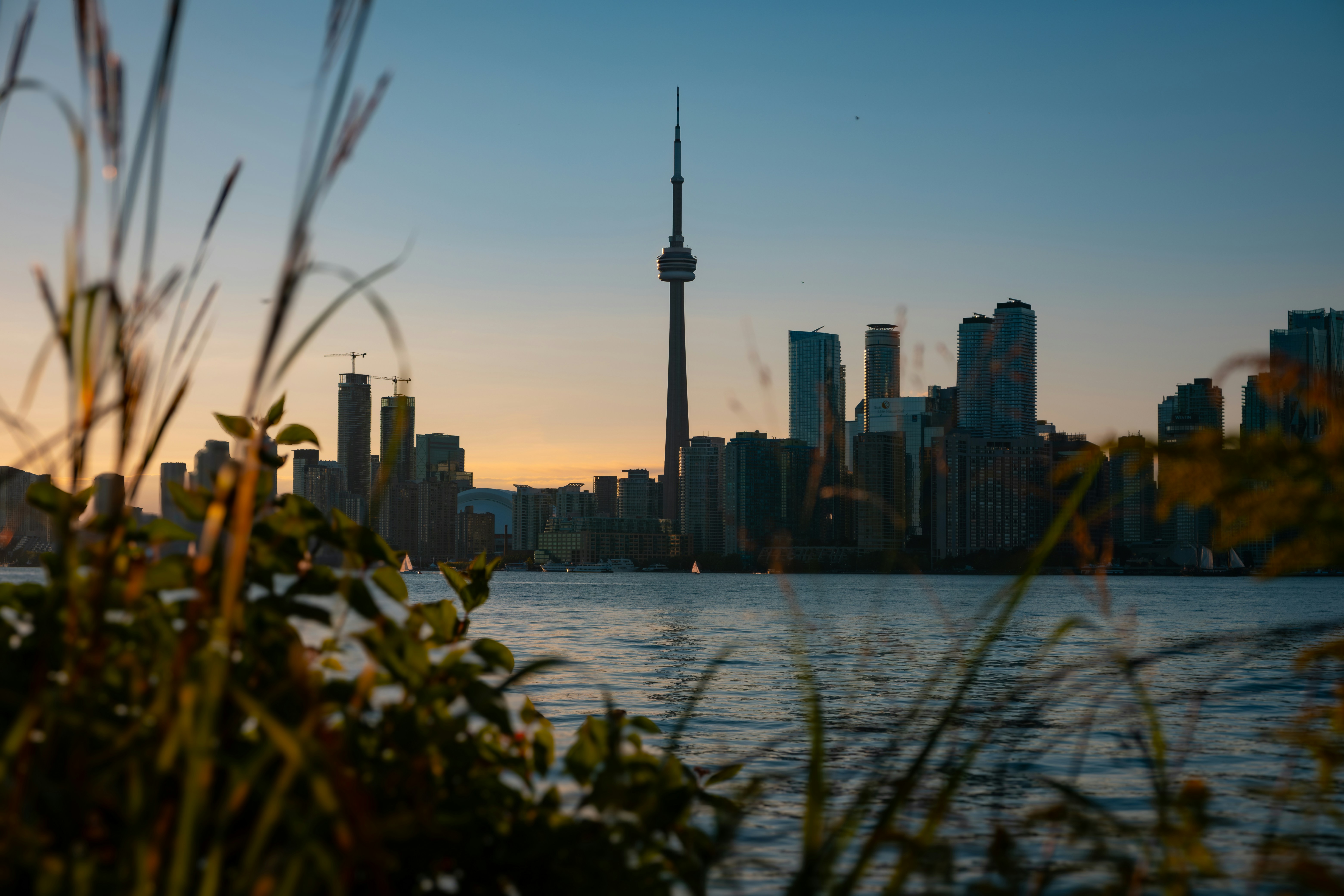 Photo by mayurarvind