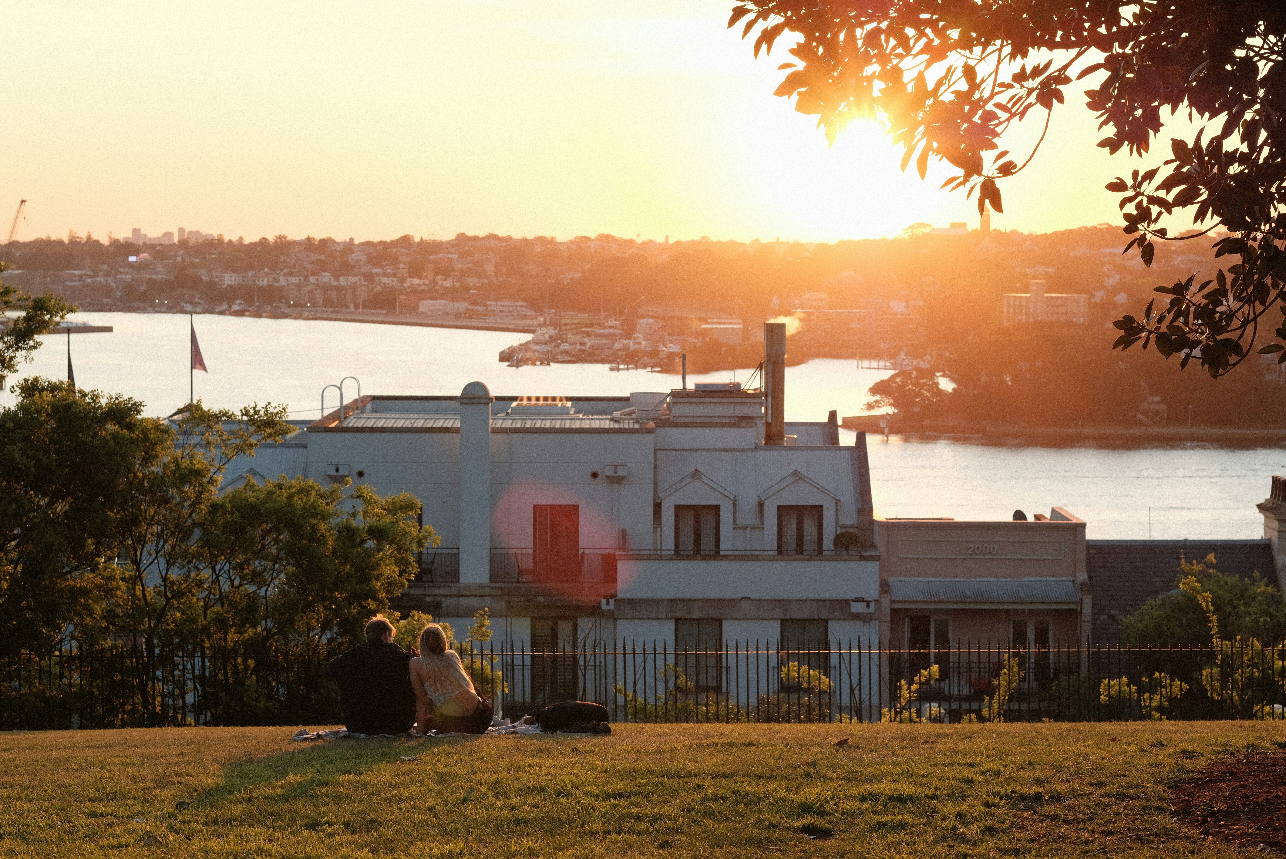 A couple of people sitting on top of a lush green field