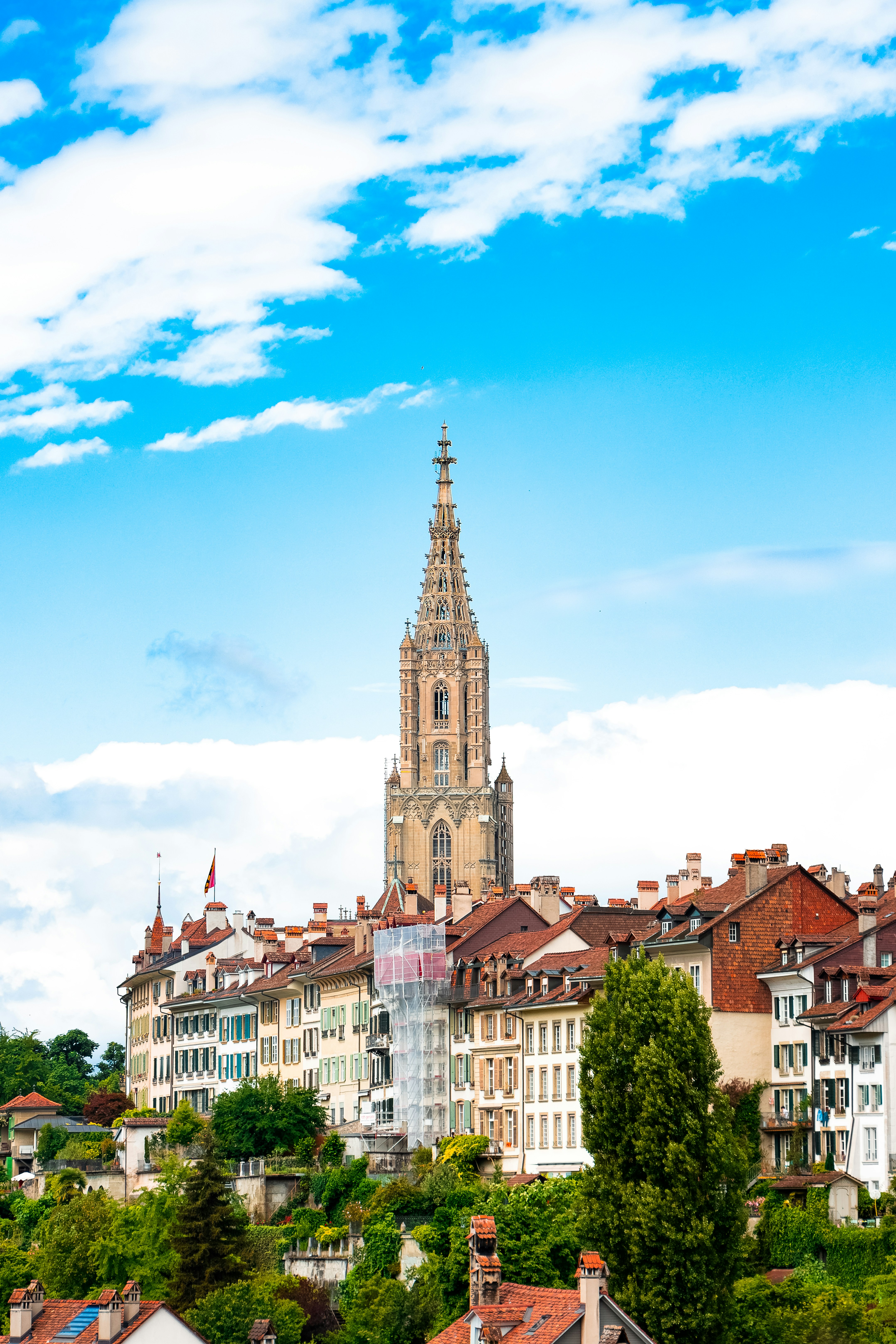 Photo by iamiliaafsharpoor