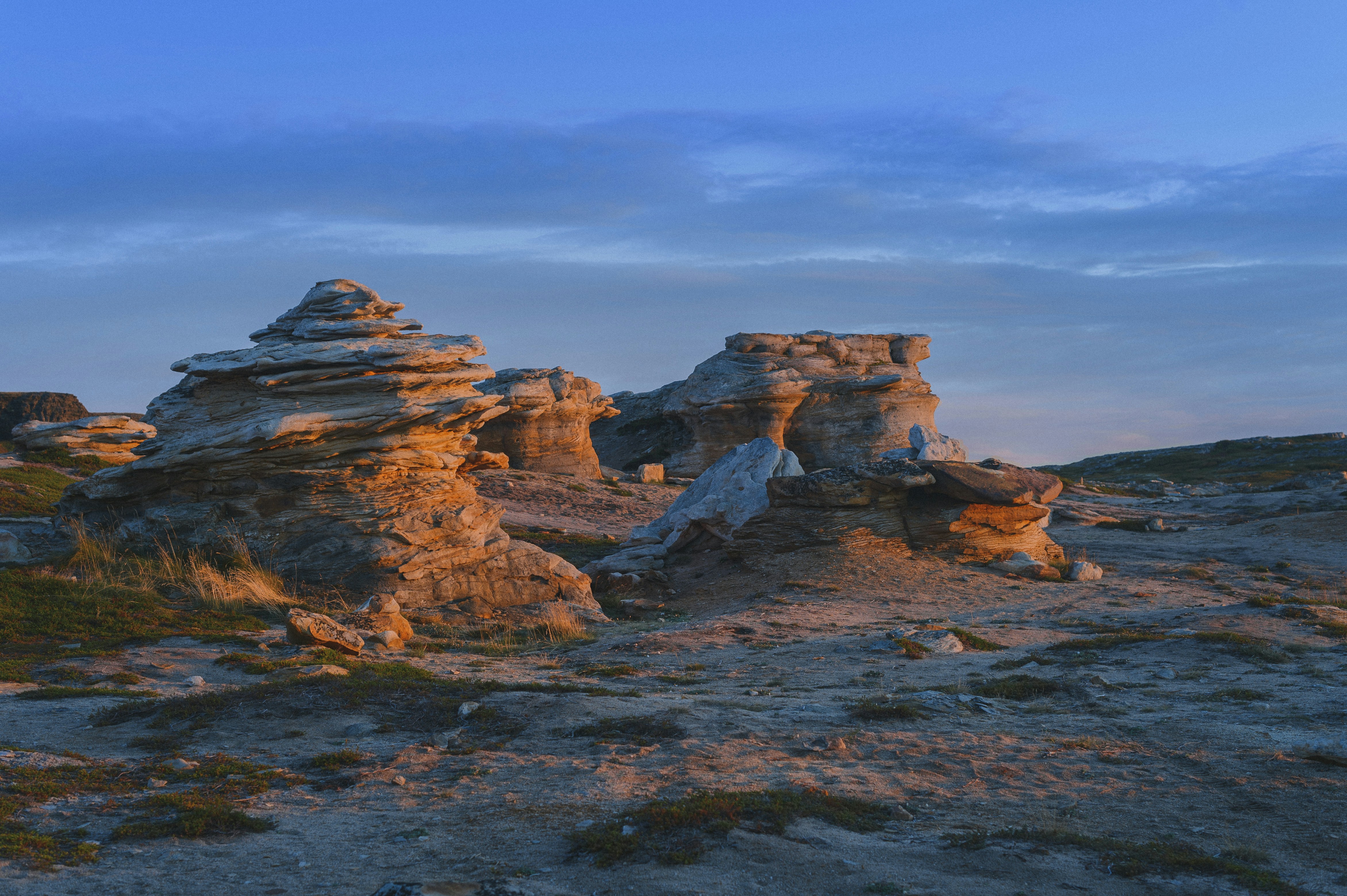 Photo by vonshnauzer