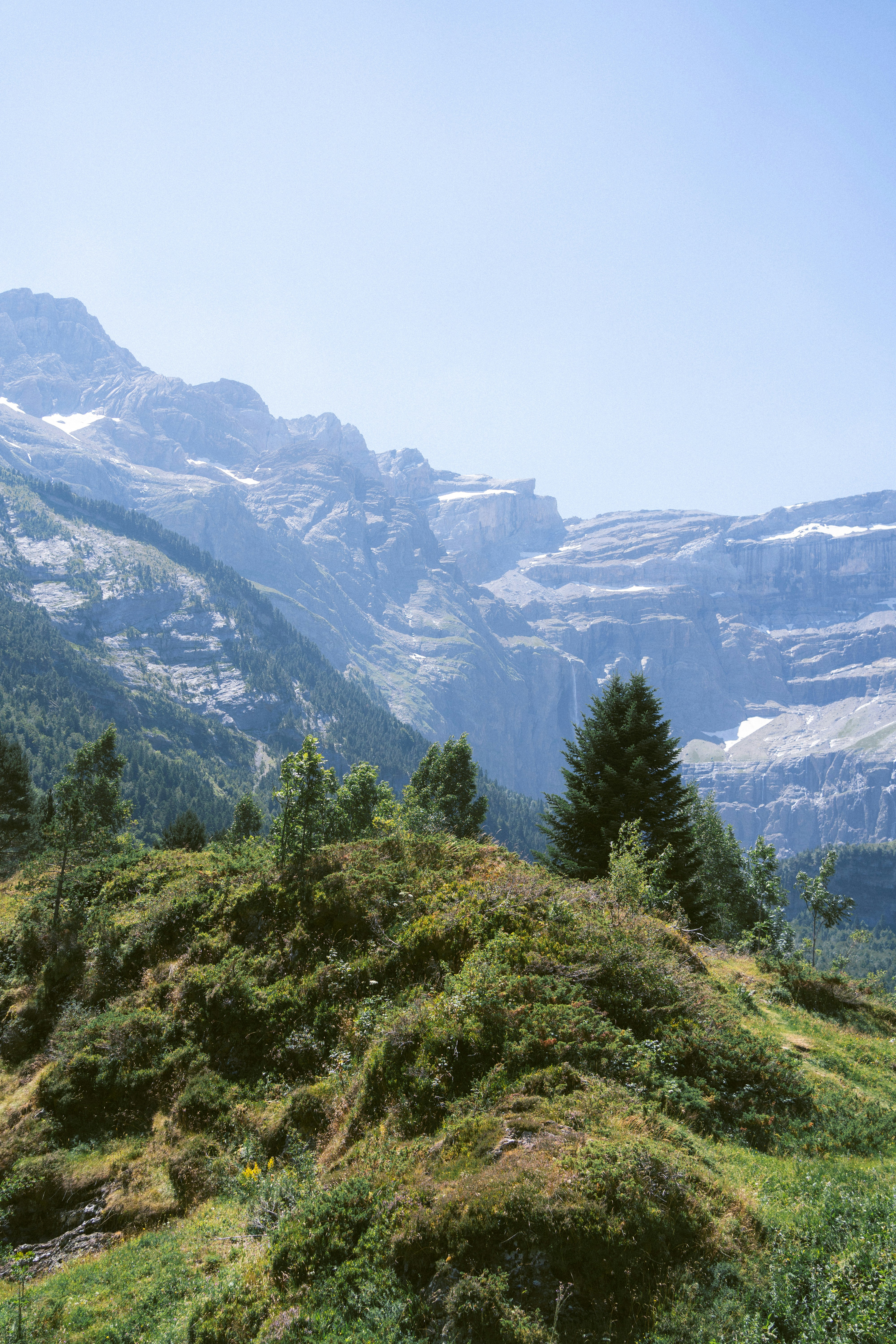 Photo by francescafrann