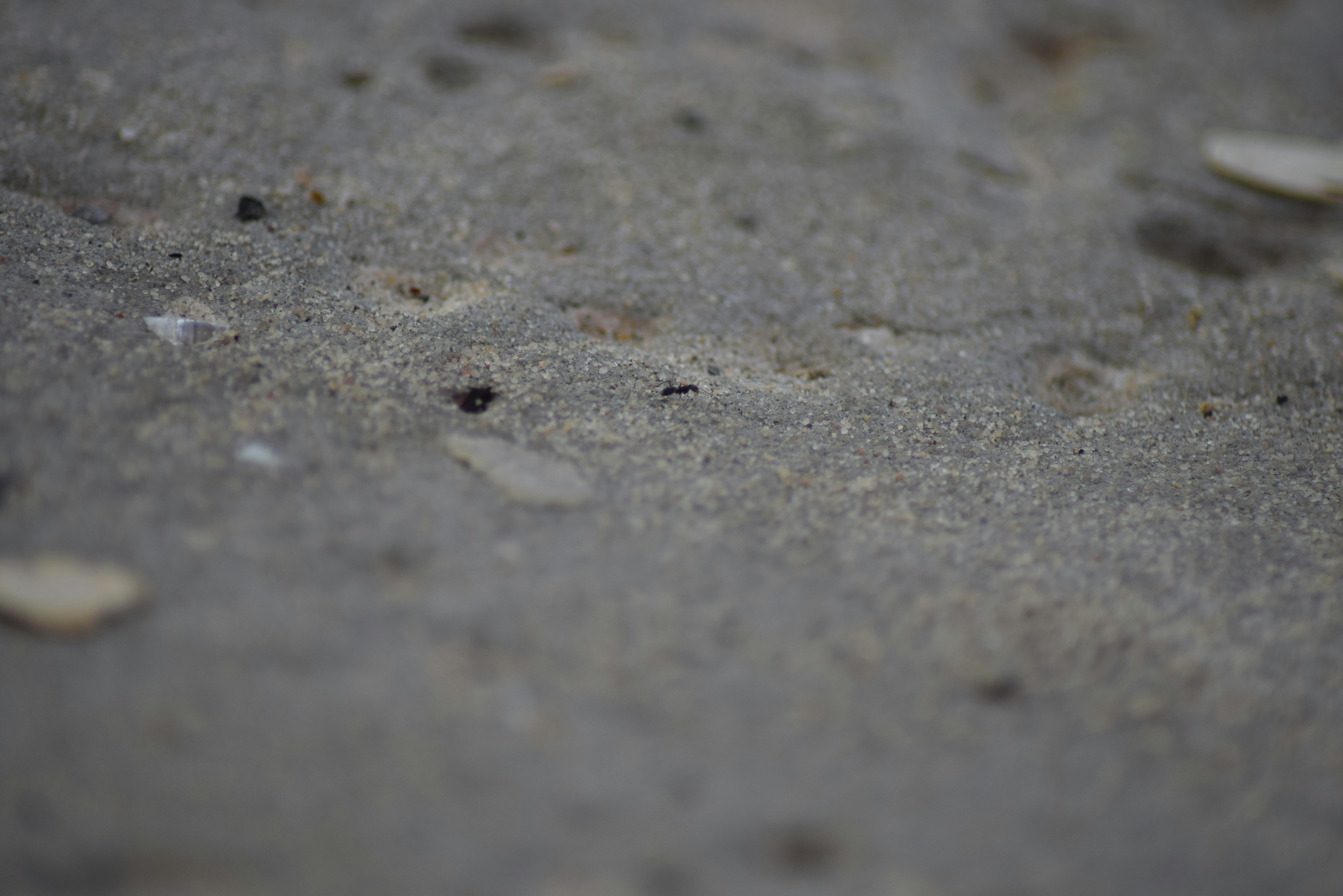 Photo by jayopeniano