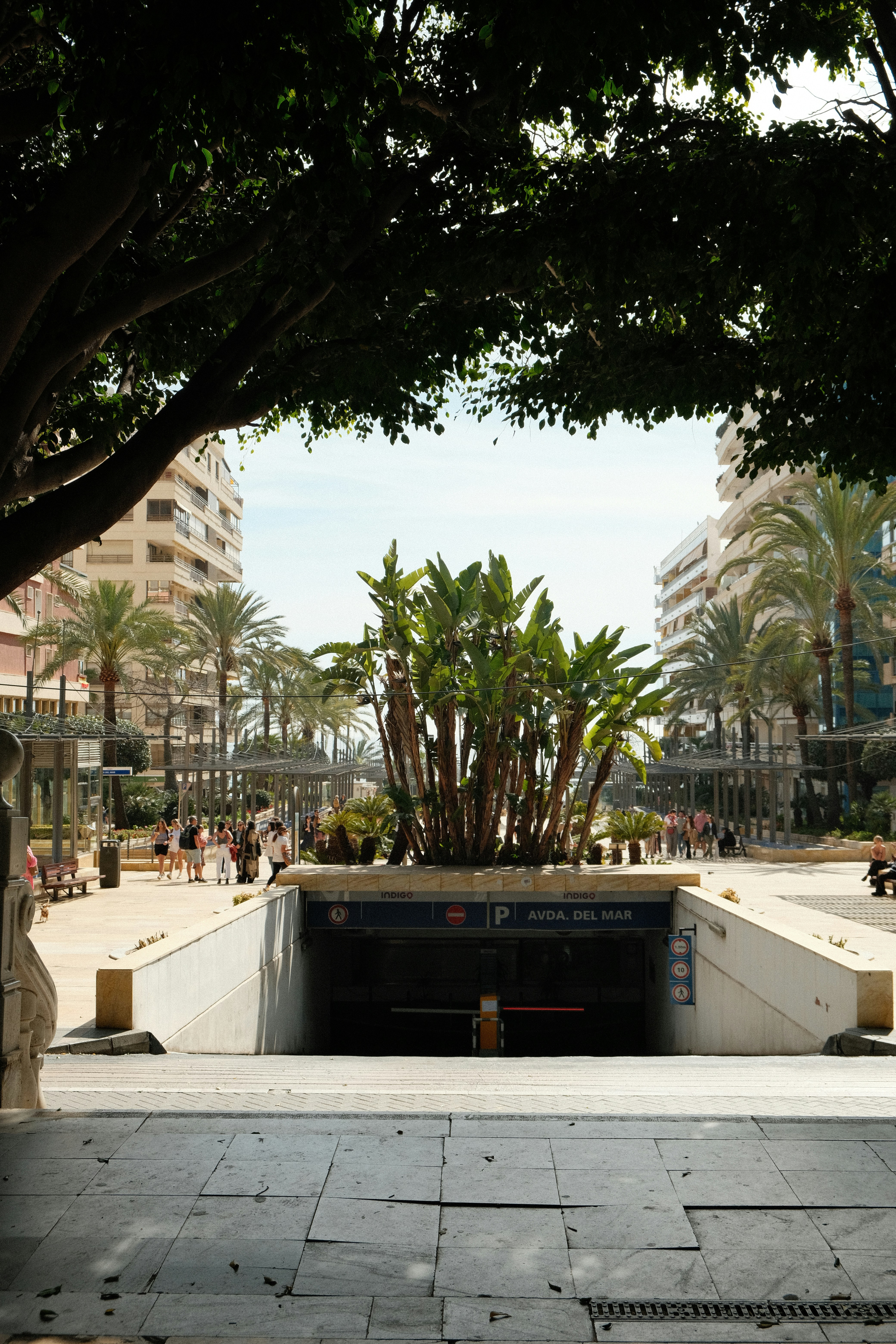 Málaga Centro Histórico — Cathedral Quarter and Museum Mile