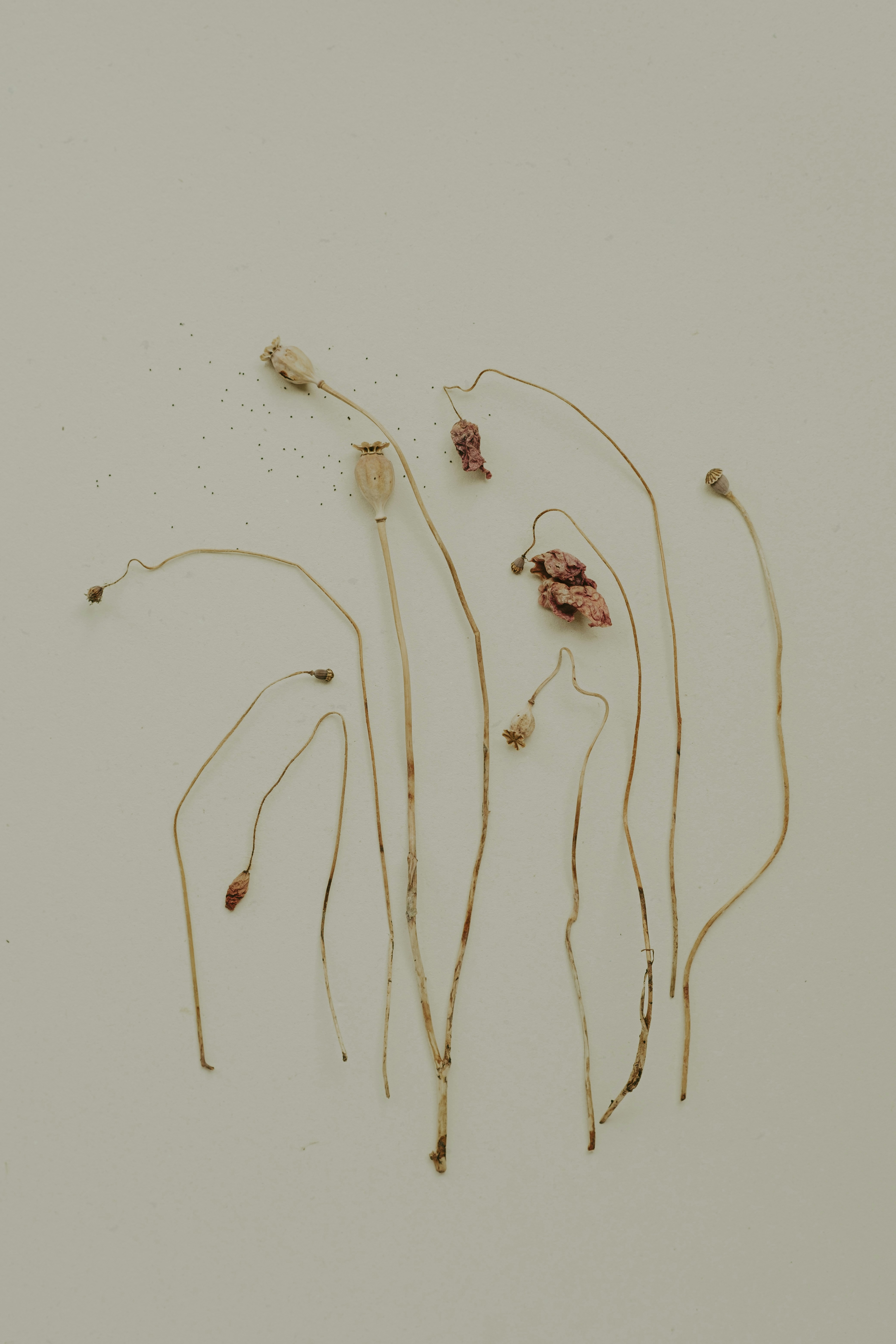 Photo by 360floralflaves