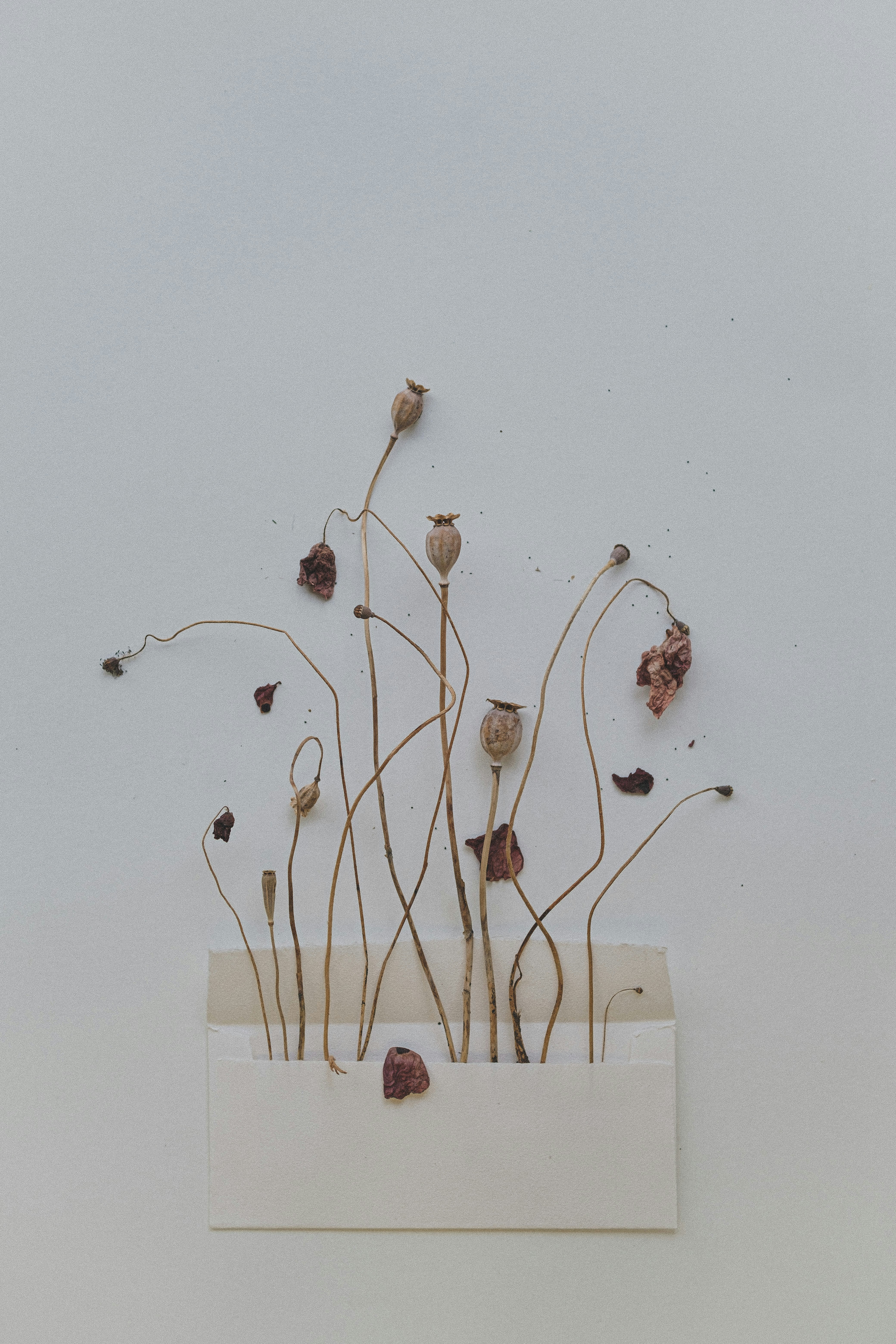 Photo by 360floralflaves