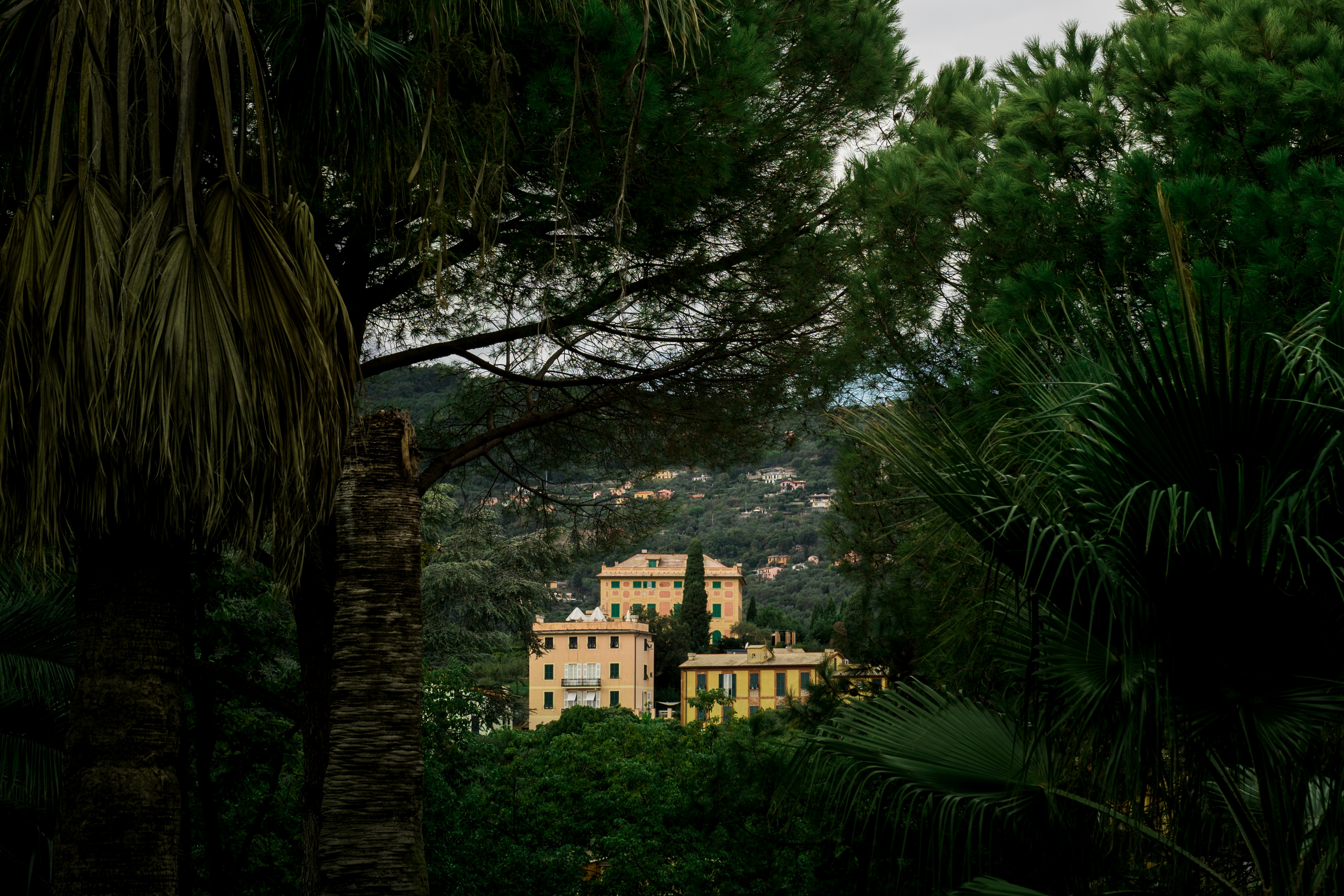 A view of a castle through the trees