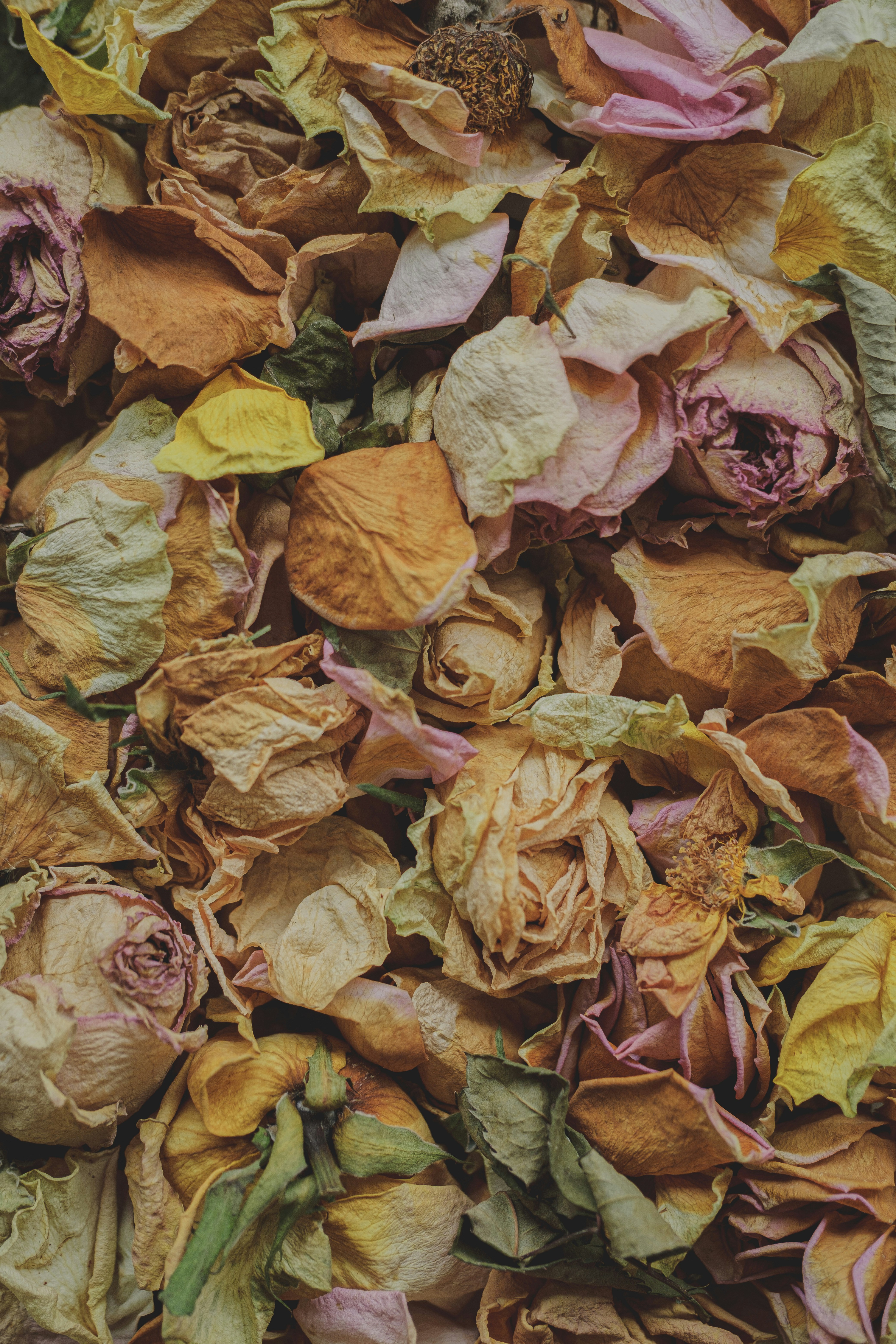 A pile of dried flowers sitting on top of a table